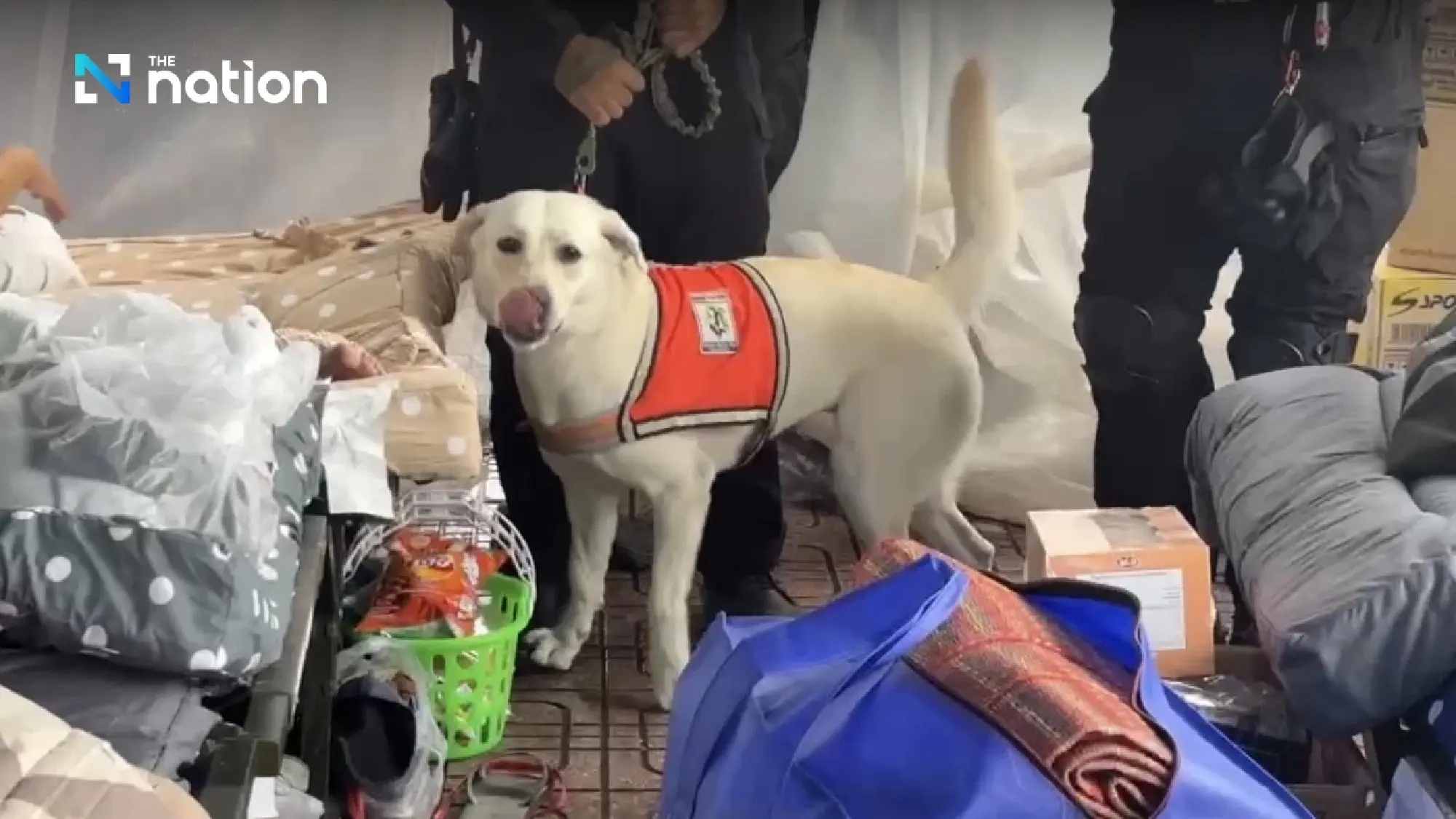 K9 team bids farewell to families of collapsed building’s victims