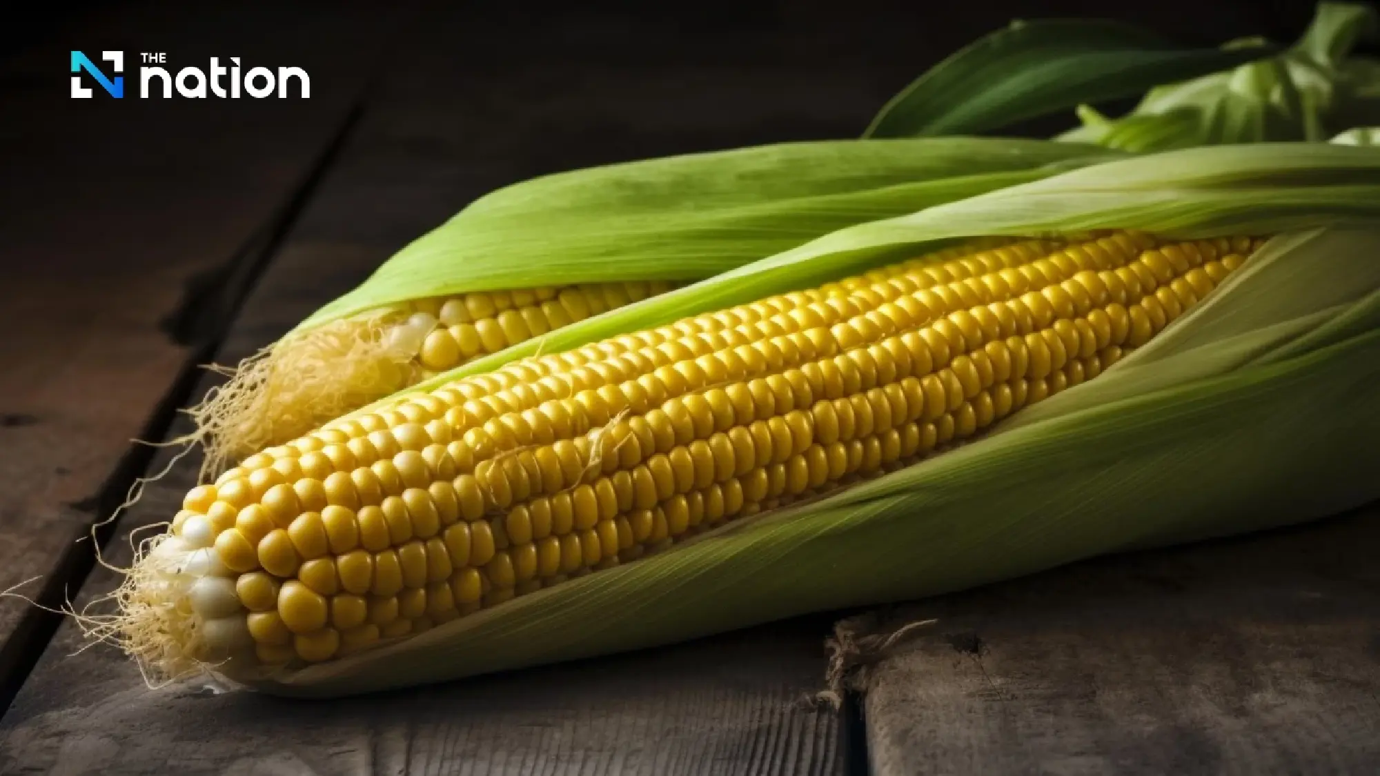 Thai Health Body Warns of US Tariff Impact on Food Safety and Laws