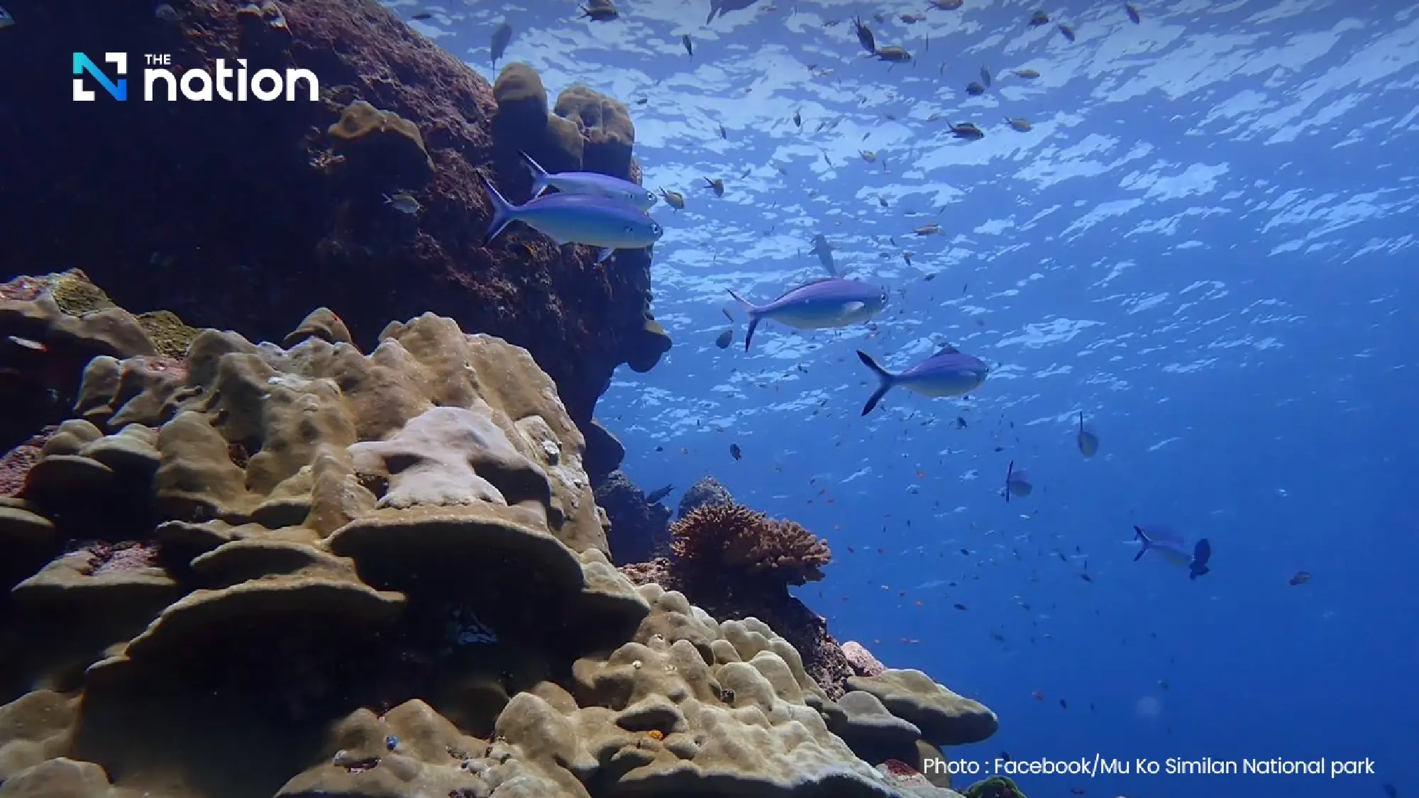 Similan Islands close for 5 months to allow ecosystem recovery