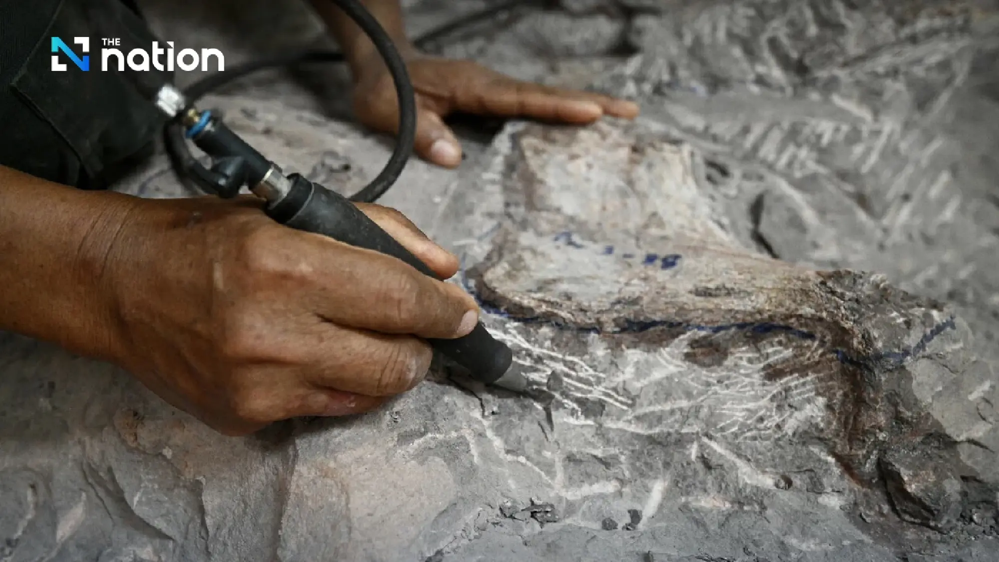 Giant Dinosaur found in Phu Wiang Valley may be new species