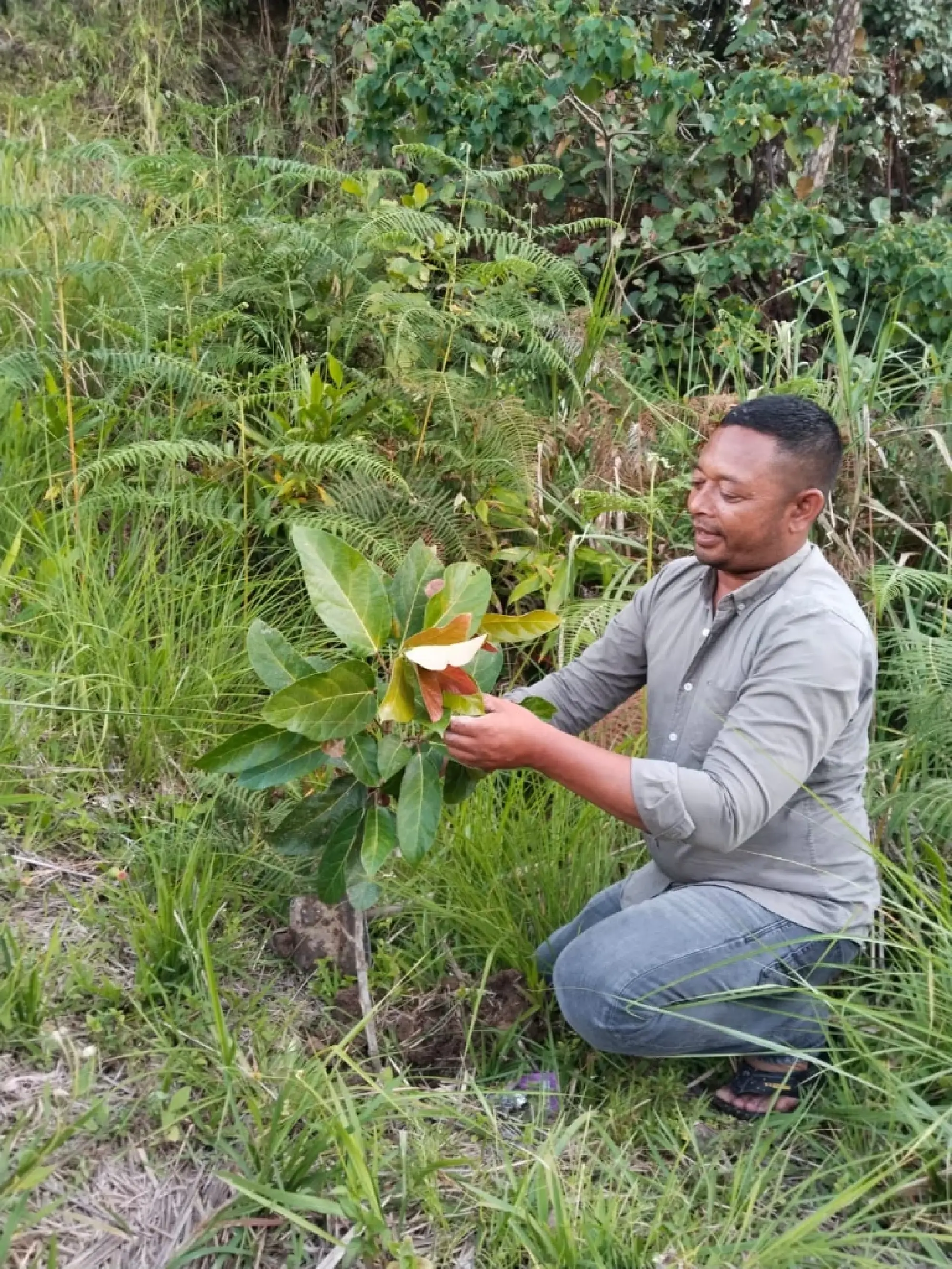 Community-based forest restoration, sowing the seeds for a sustainable future