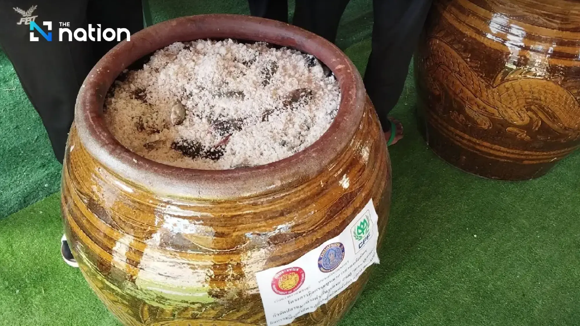 Fish sauce from blackchin tilapia: A sustainable solution to alien species