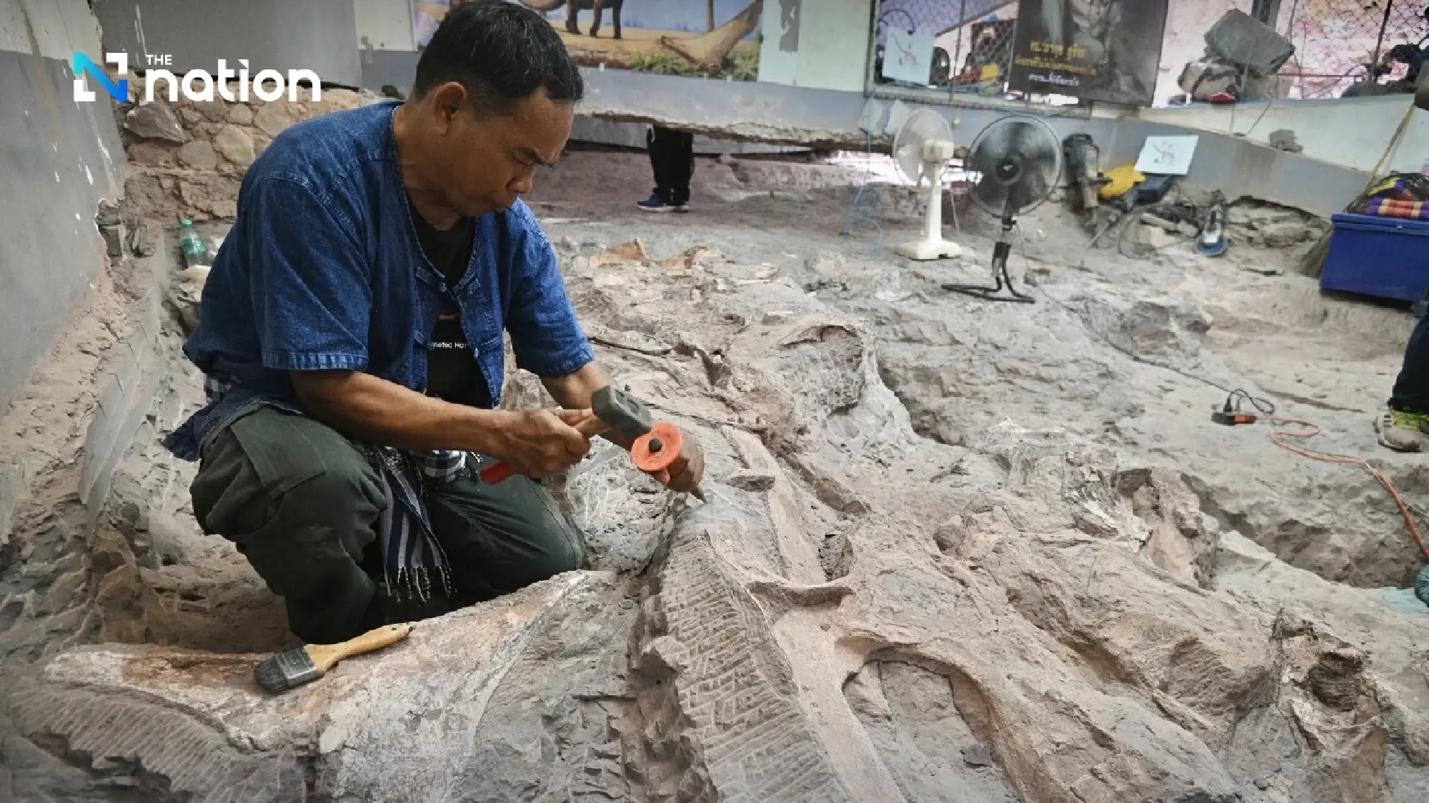 Giant Dinosaur found in Phu Wiang Valley may be new species