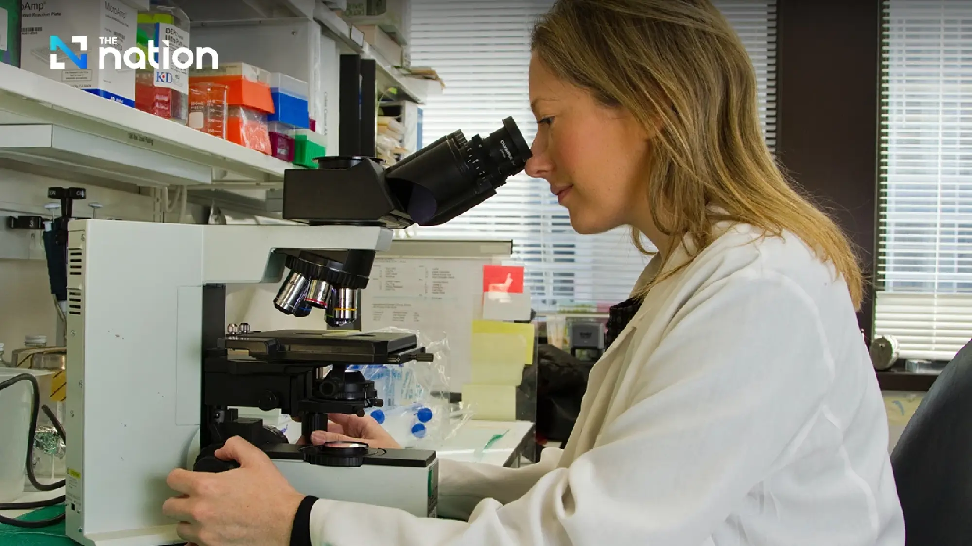 The Potential of Brain-Targeting Peptides in Scientific Research