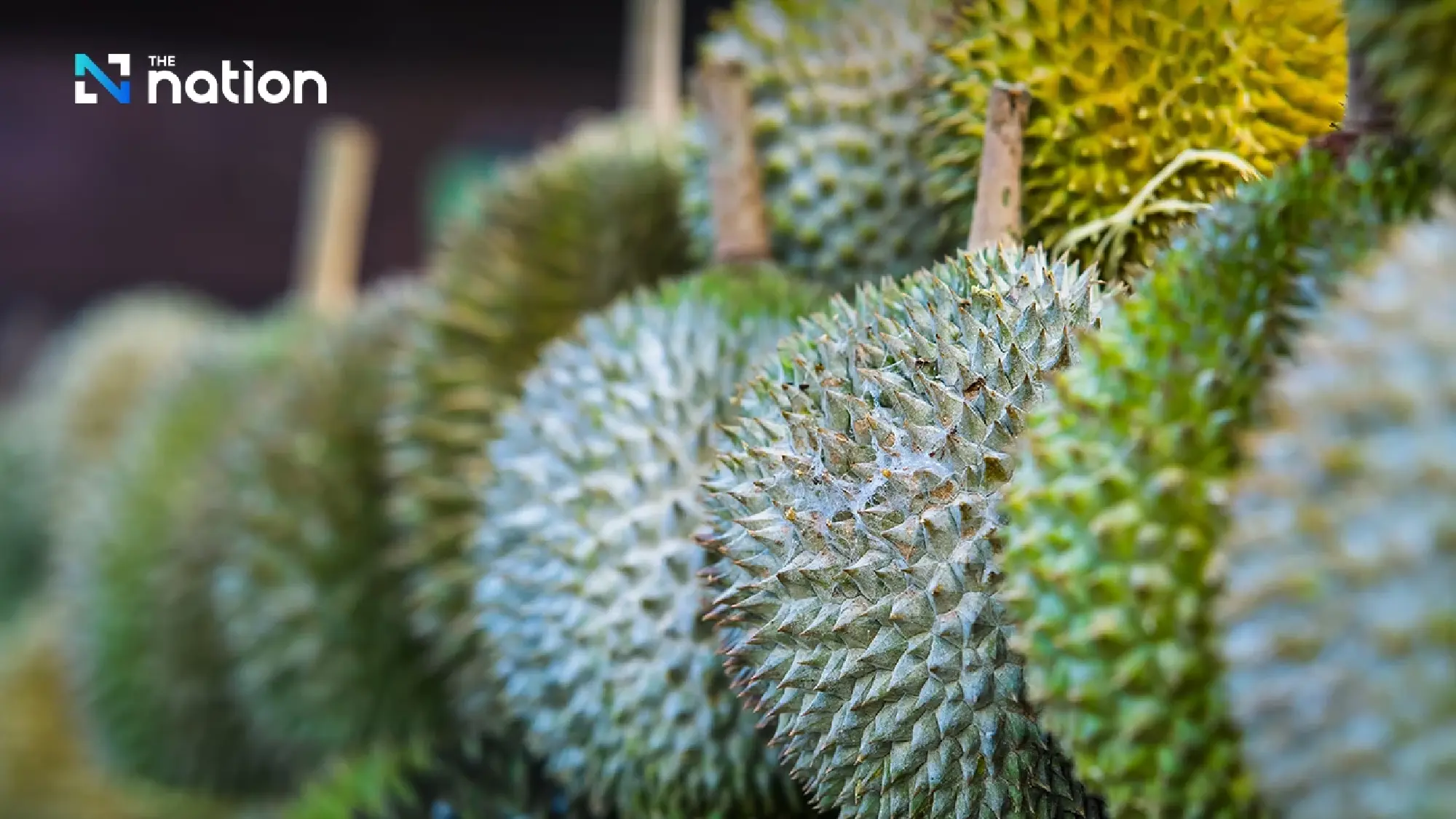China agrees to have customs officials work 24 hours to facilitate Thai durian imports
