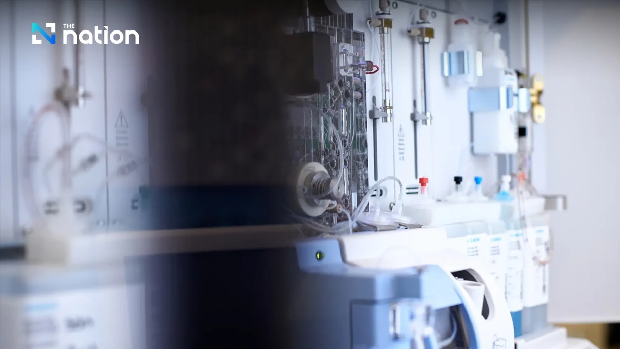The Potential of Brain-Targeting Peptides in Scientific Research