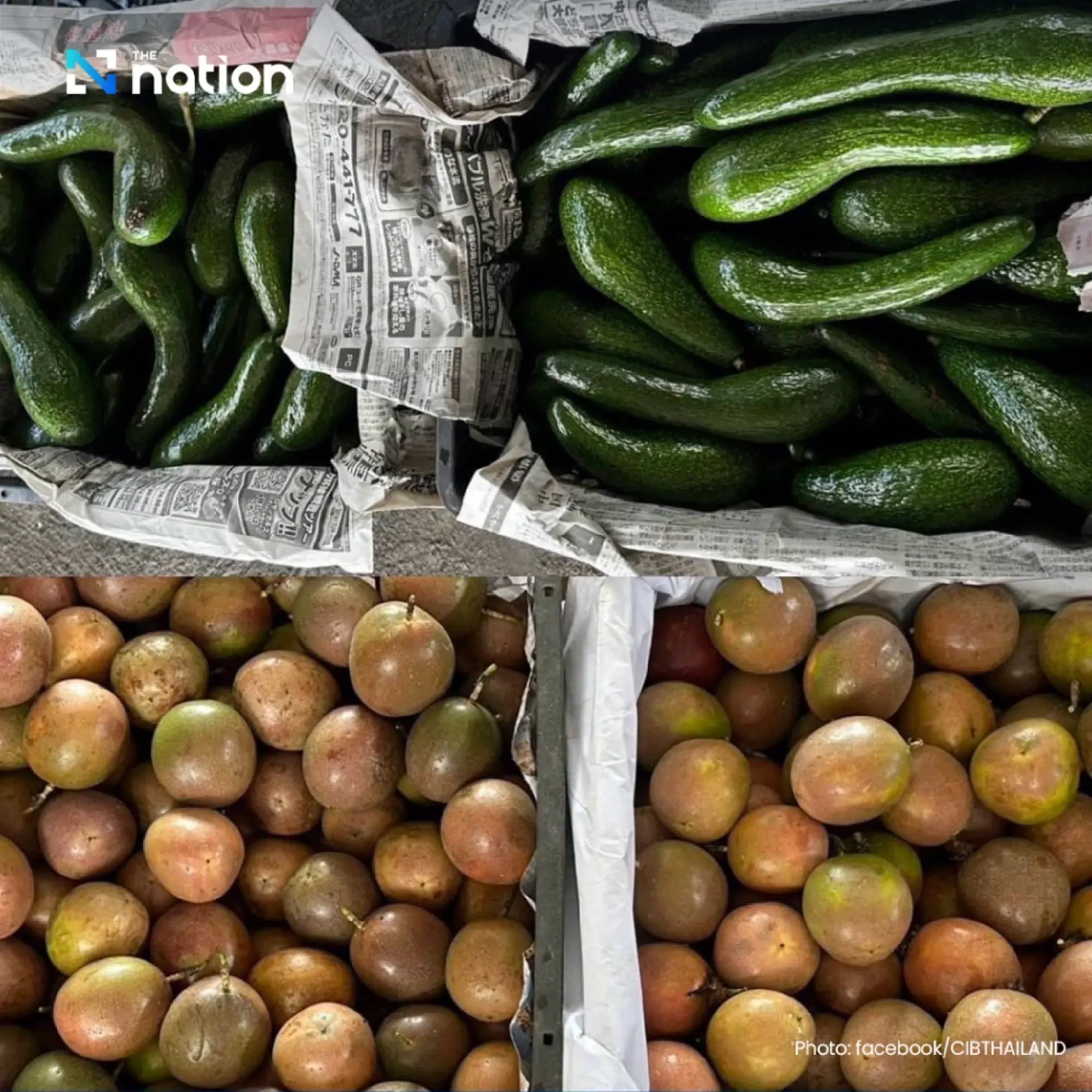Vietnamese fruit broker arrested for smuggling 16 tonnes of avocados 