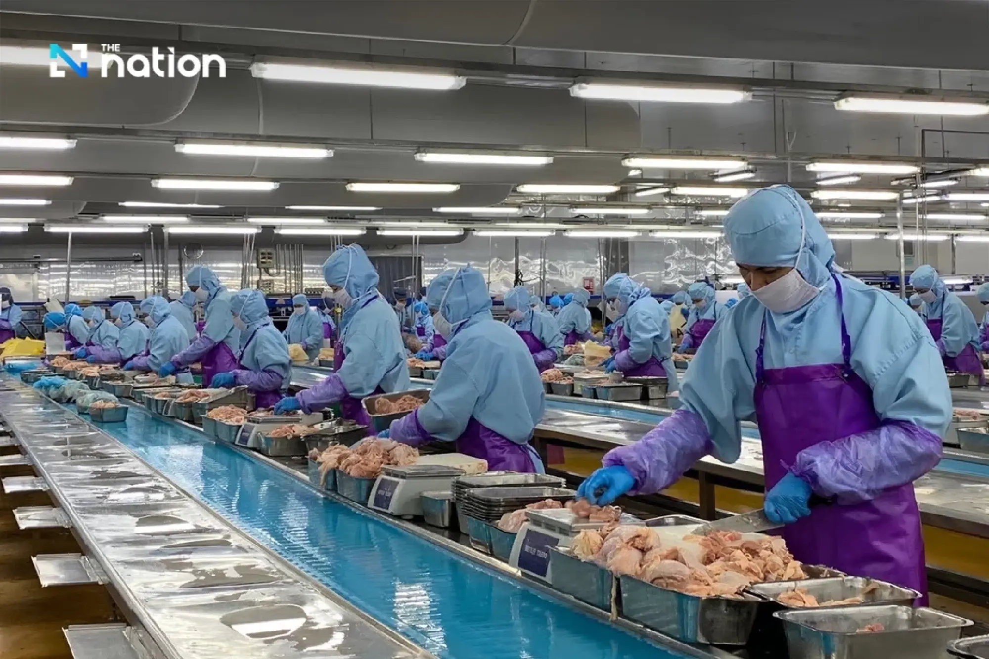 Thailand Scores Poultry Export Victory, Cracking Open Philippines Market for Raw Chicken and Duck