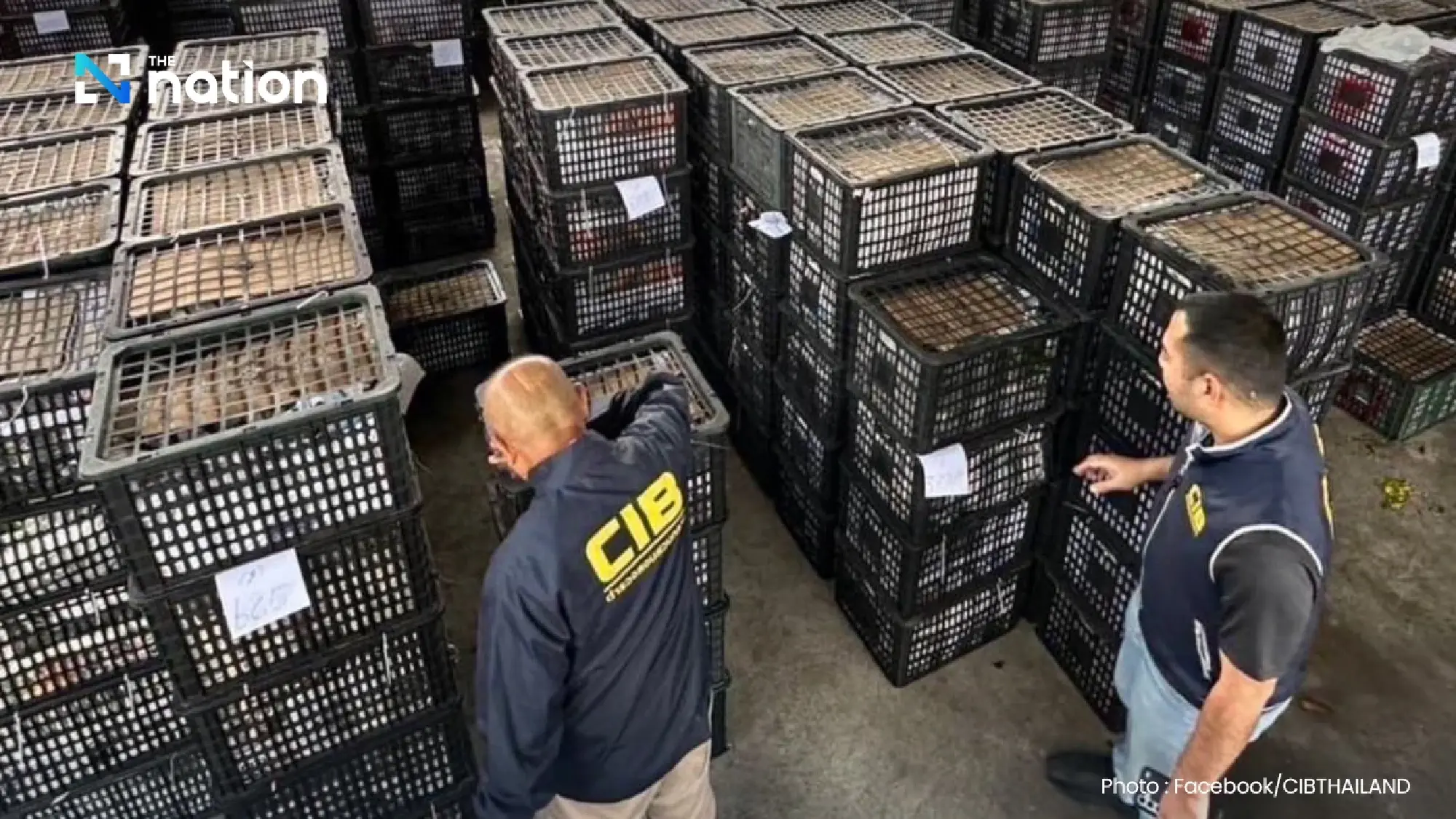 Vietnamese fruit broker arrested for smuggling 16 tonnes of avocados 