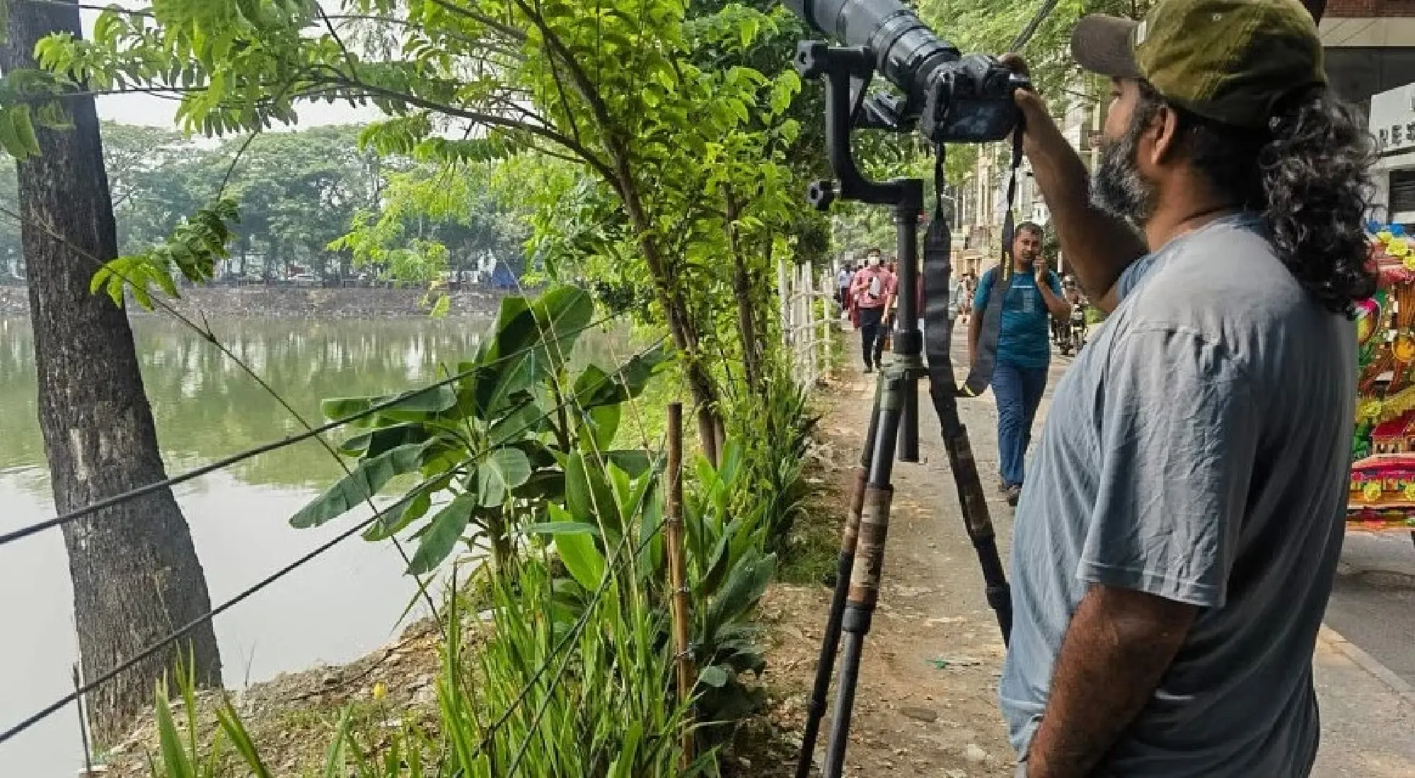 Dhaka’s birds are disappearing — should we be worried?