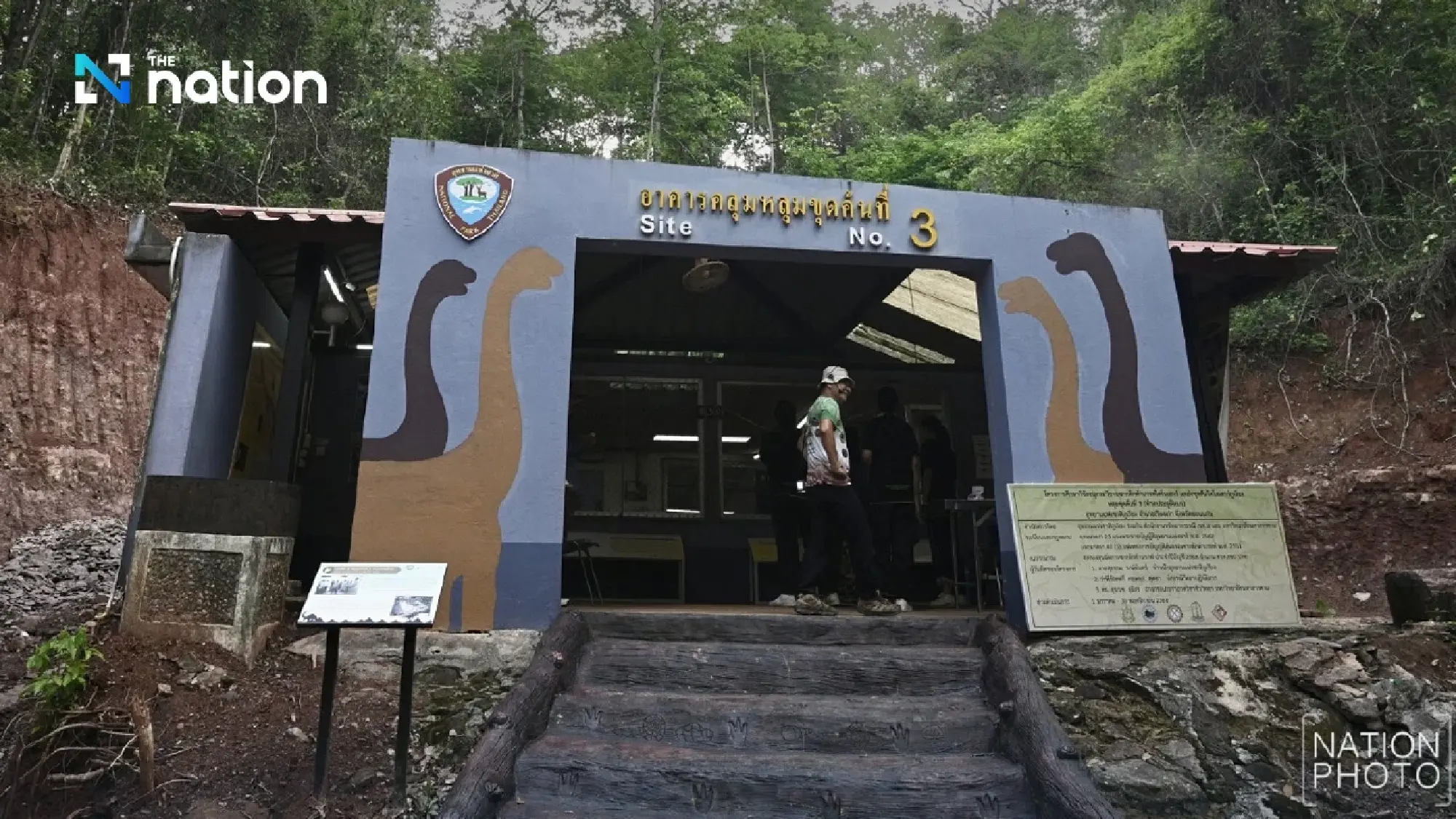 Giant Dinosaur found in Phu Wiang Valley may be new species