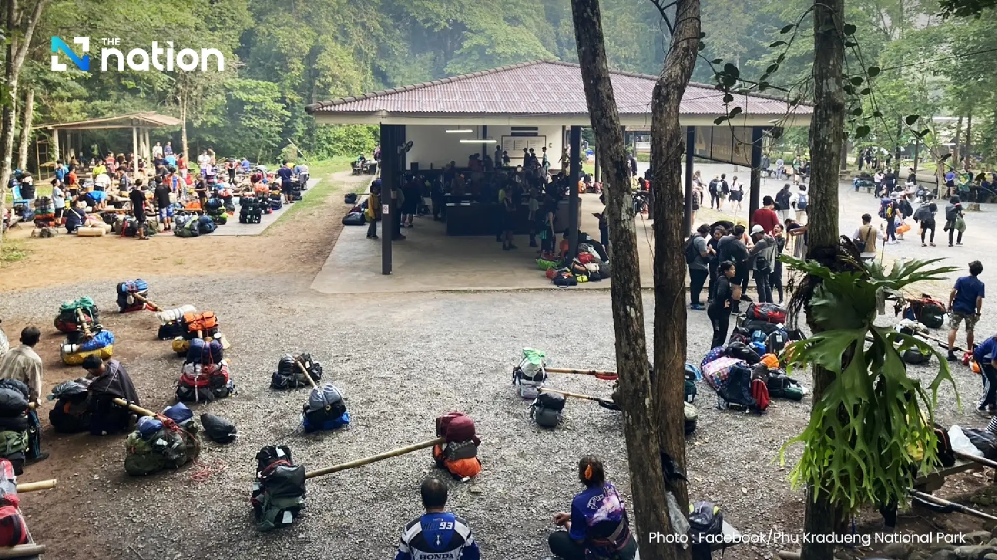 Phu Kradueng closed to tourists for four months to allow nature to recover