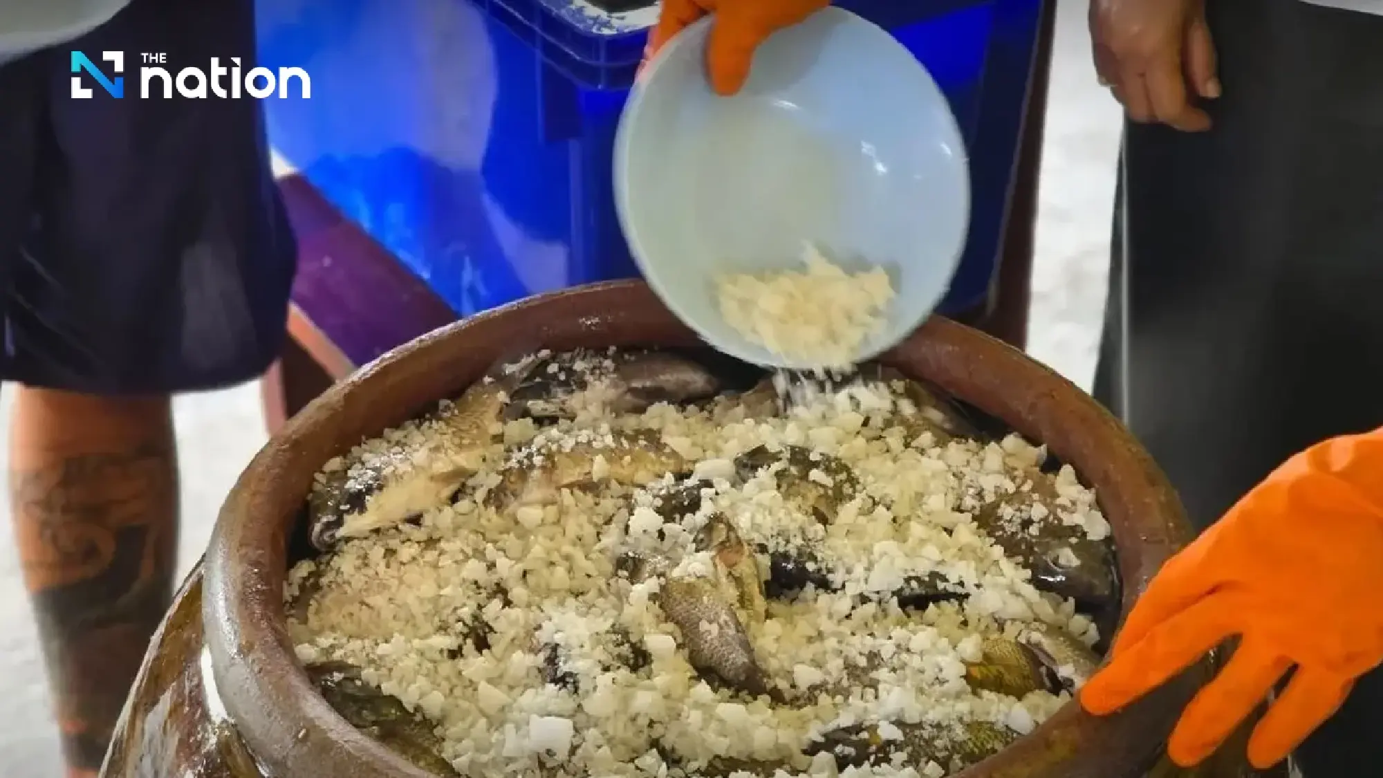 Fish sauce from blackchin tilapia: A sustainable solution to alien species