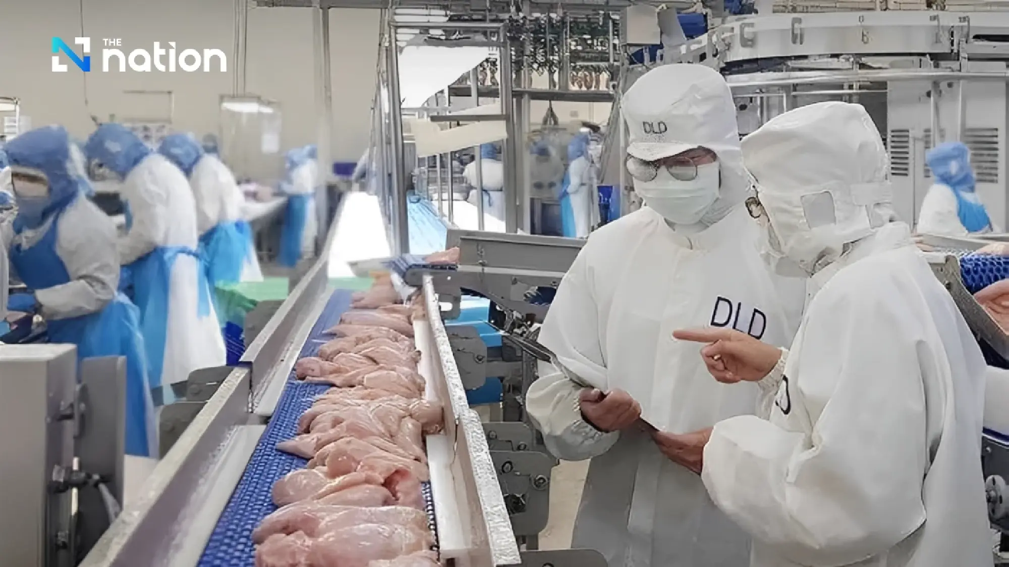 Thailand Scores Poultry Export Victory, Cracking Open Philippines Market for Raw Chicken and Duck