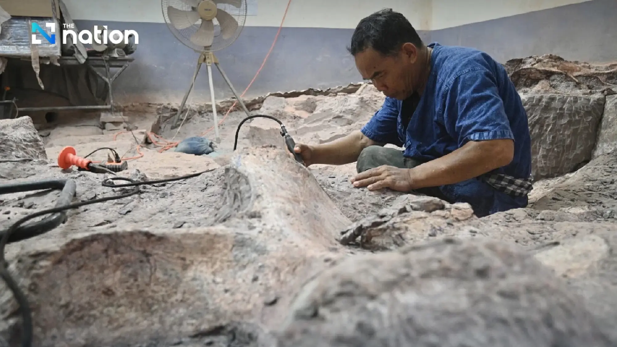 Giant Dinosaur found in Phu Wiang Valley may be new species