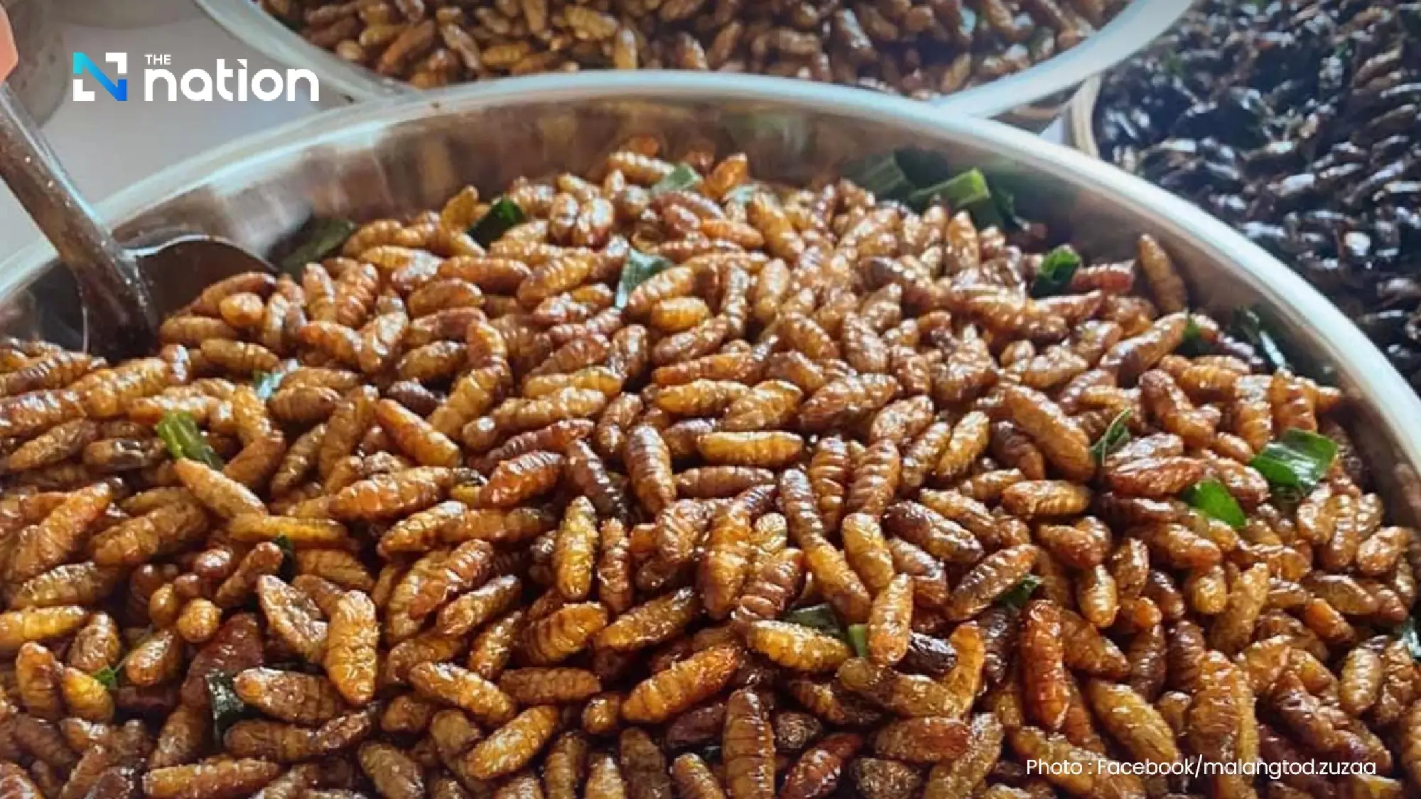 Thailand's Edible Insect Market Poised for Explosive Growth