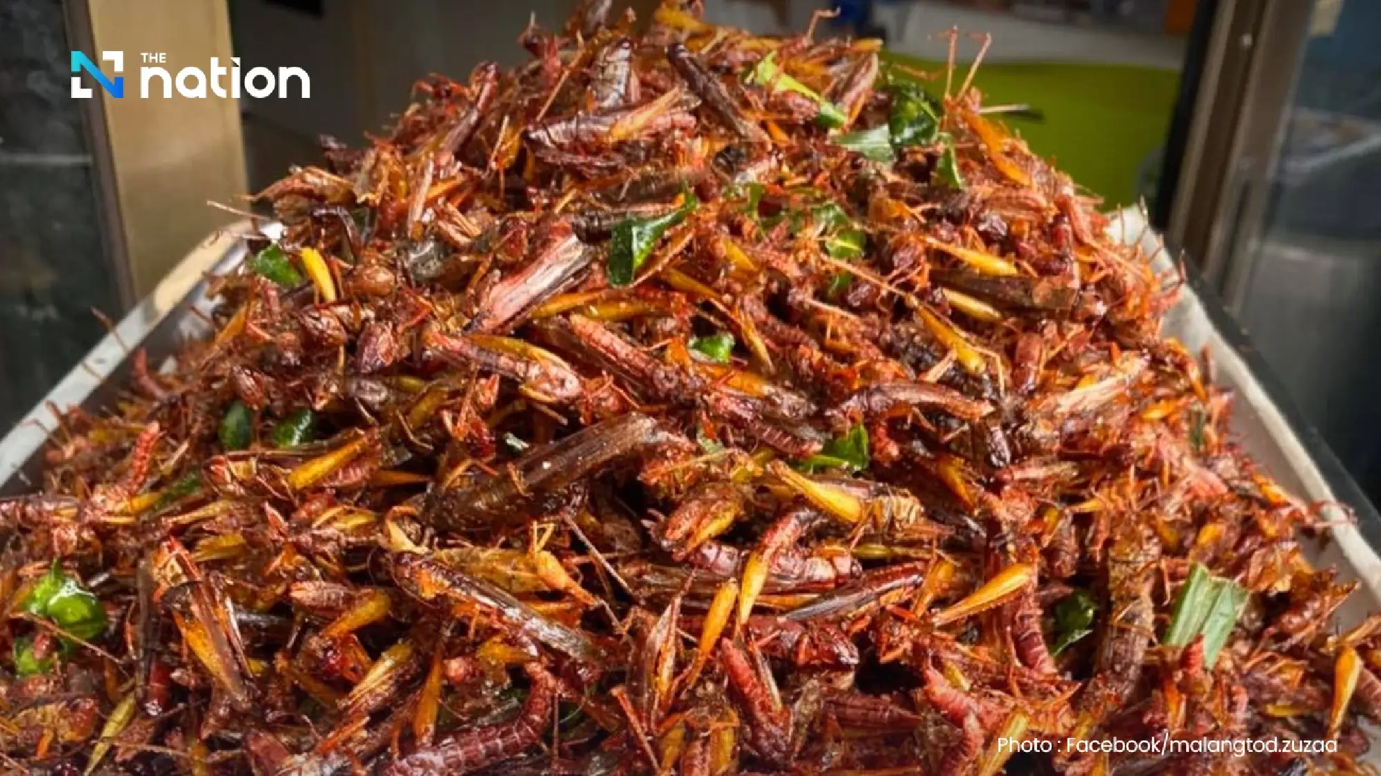 Thailand's Edible Insect Market Poised for Explosive Growth