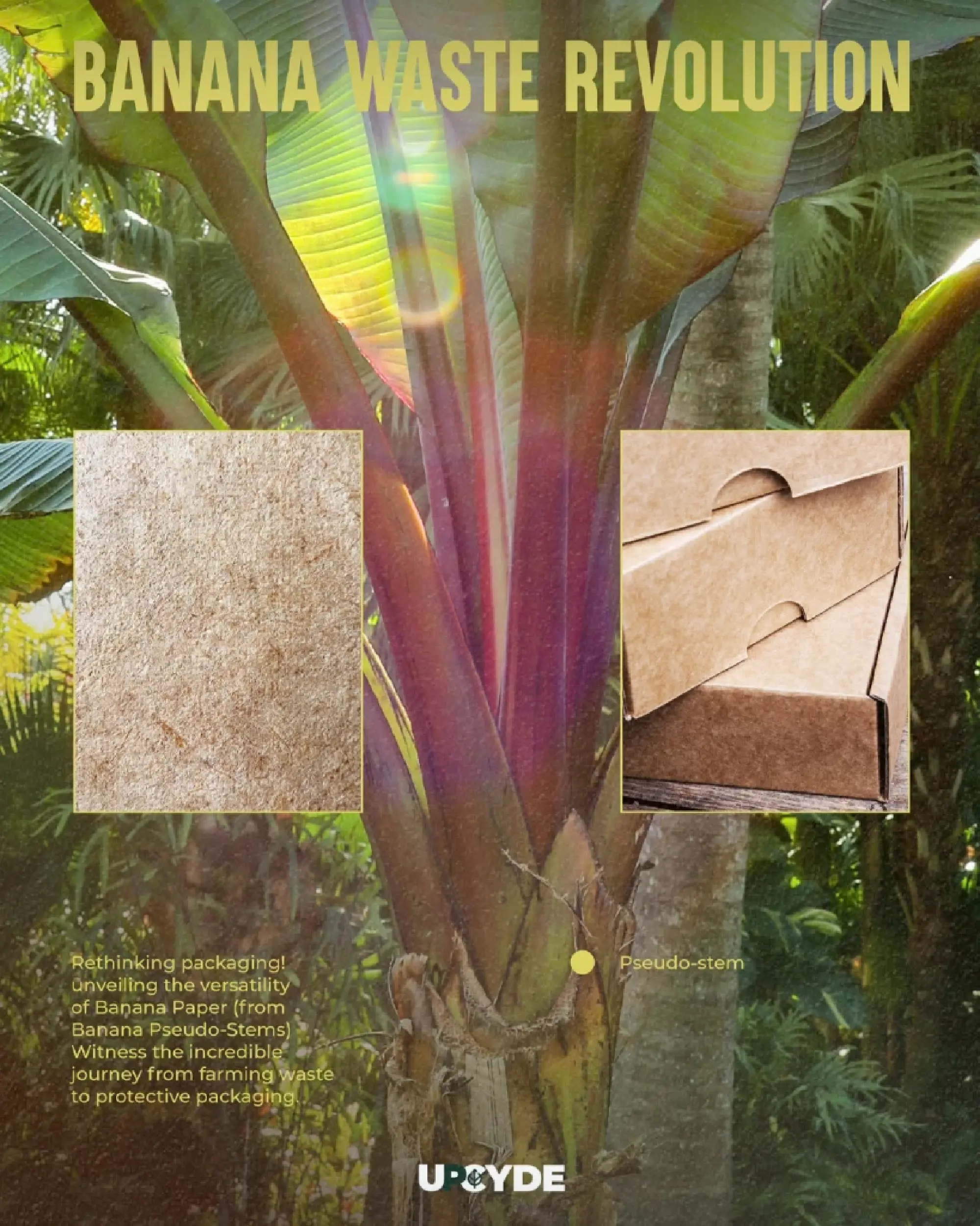 UPCYDE turns waste into valuable resources