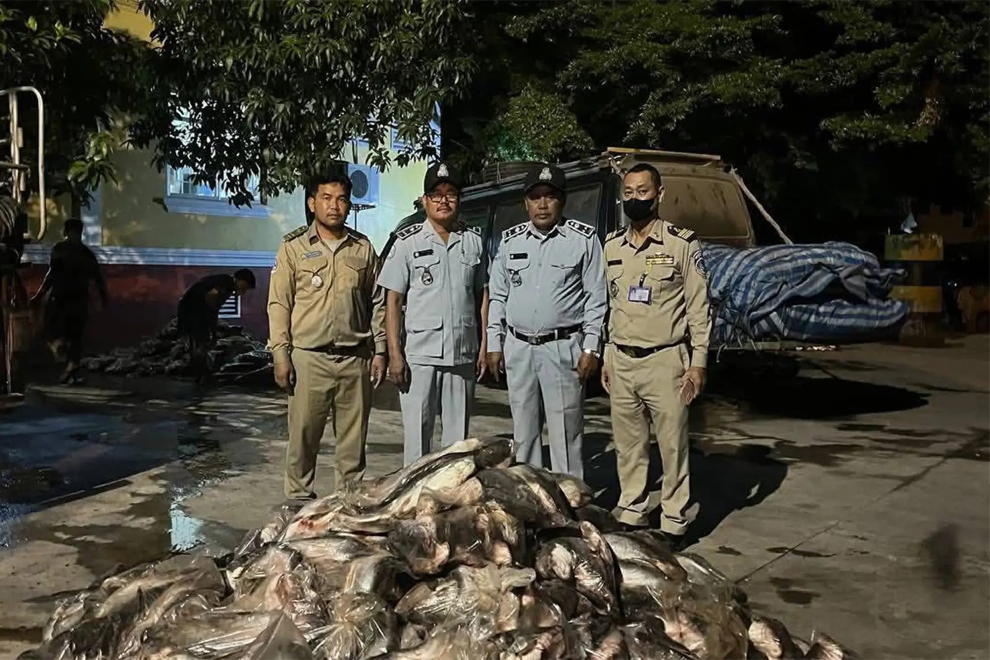 Casting the net wide: Officers seize over ten tonnes of illegally imported Thai fish
