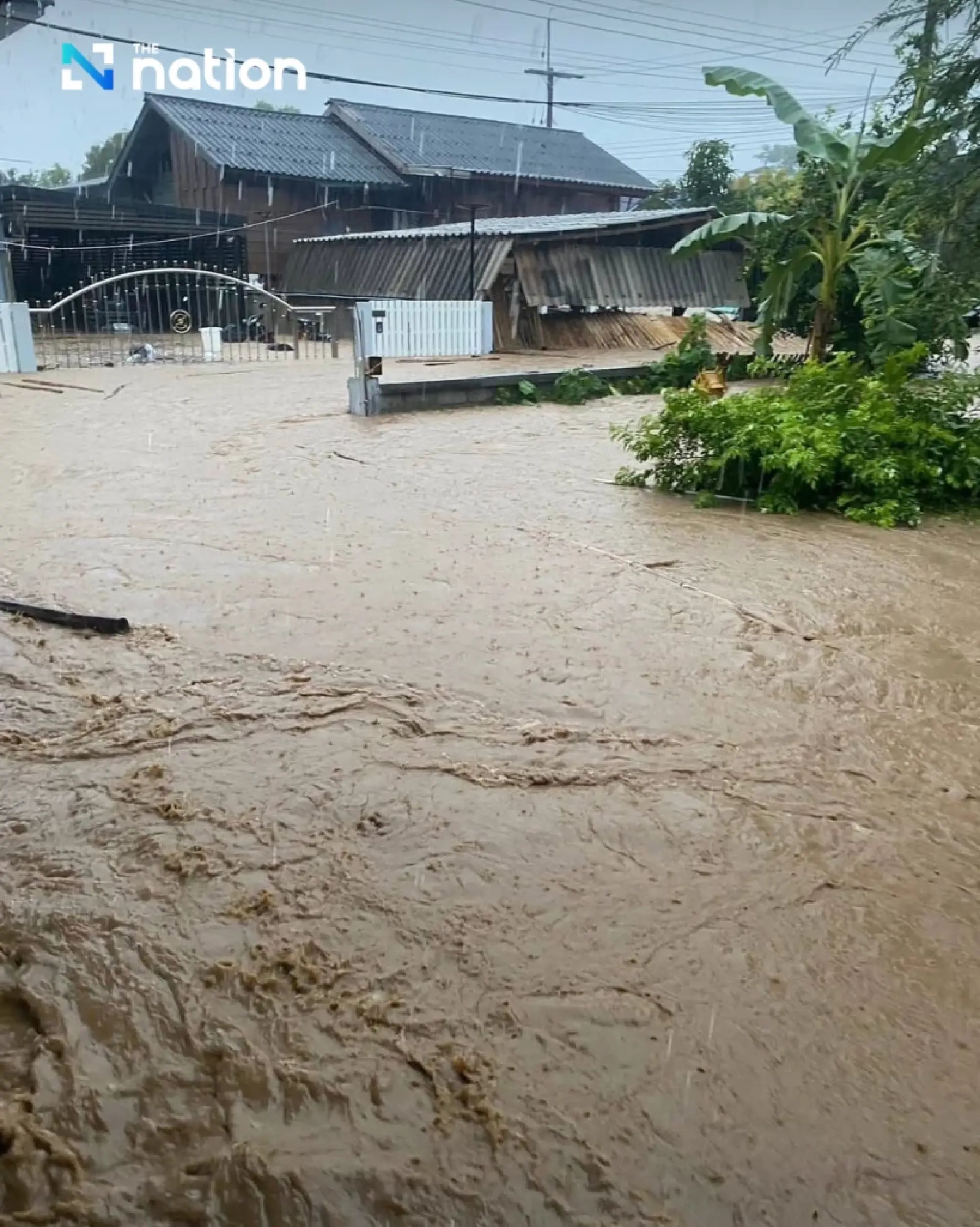 Flash floods hit Chiang Rai as heavy rain triggers mass evacuations and severe crop damage