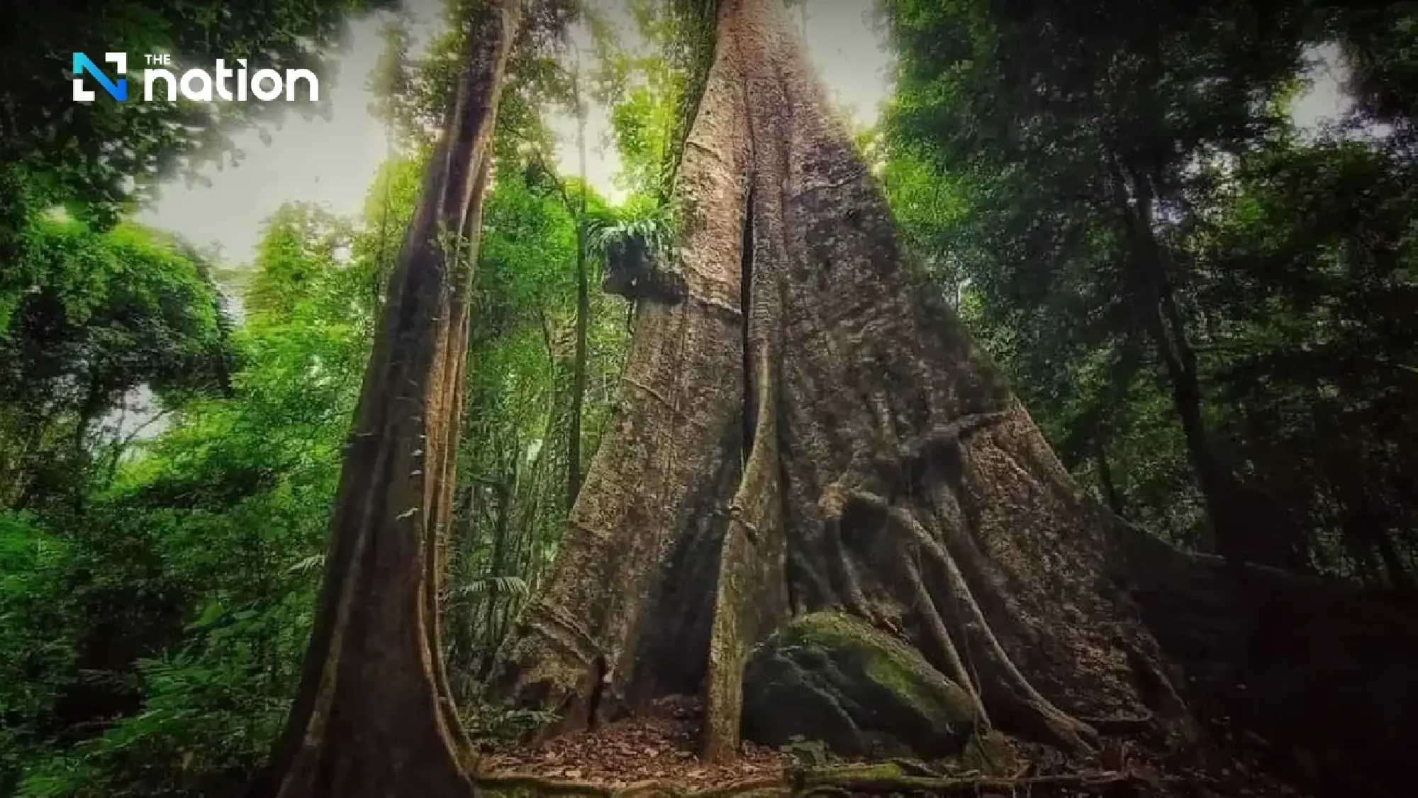 Thailand\'s Natural Wonders Take Centre Stage in New \'Jurassic World\' Film