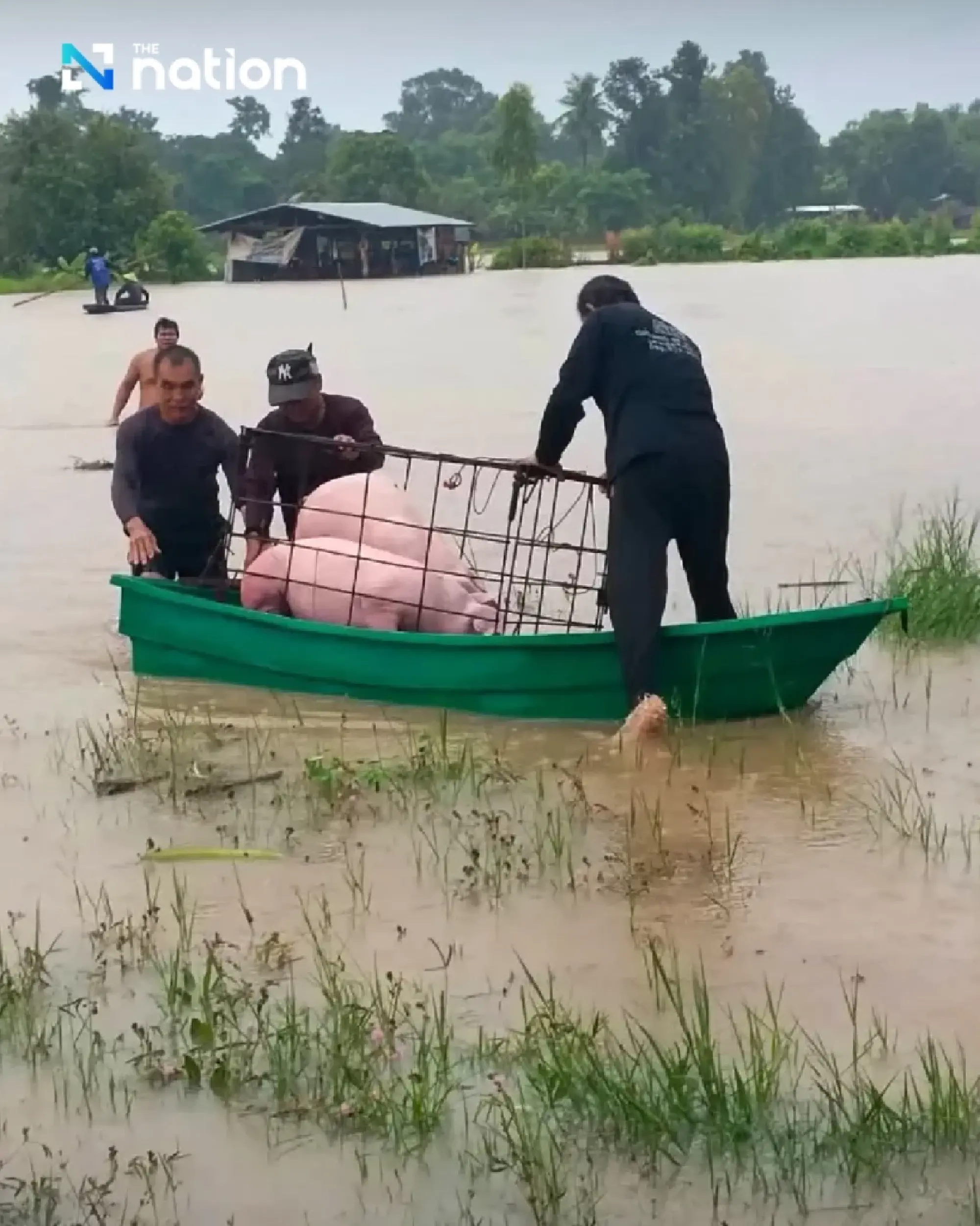 Heavy rain and flooding Hit Yasothon and Sakon Nakhon, authorities on high alert for possible evacuations