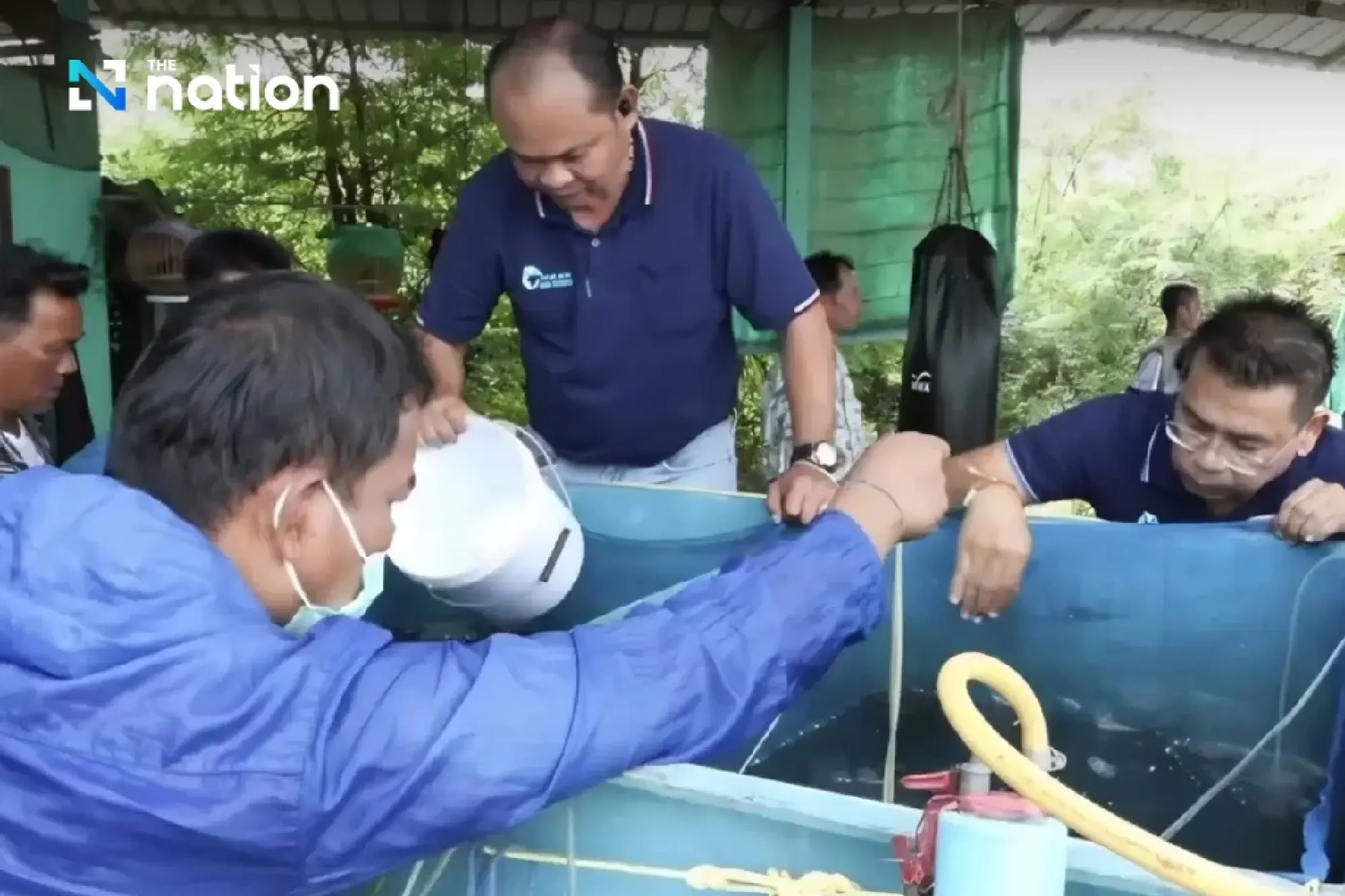 Phetchaburi fisheries chief hails success of seabass project to control alien blackchin tilapia