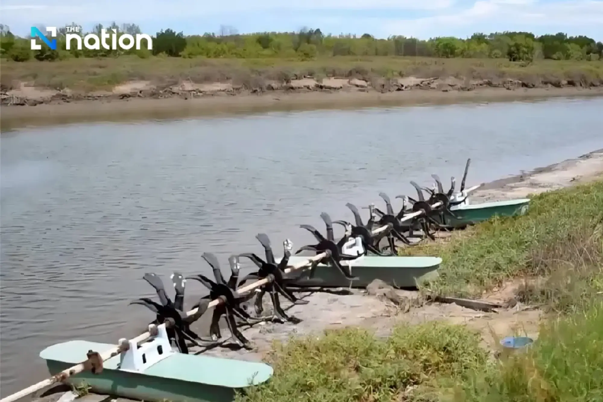 DOF promotes conversion of abandoned shrimp ponds for sea crab farming