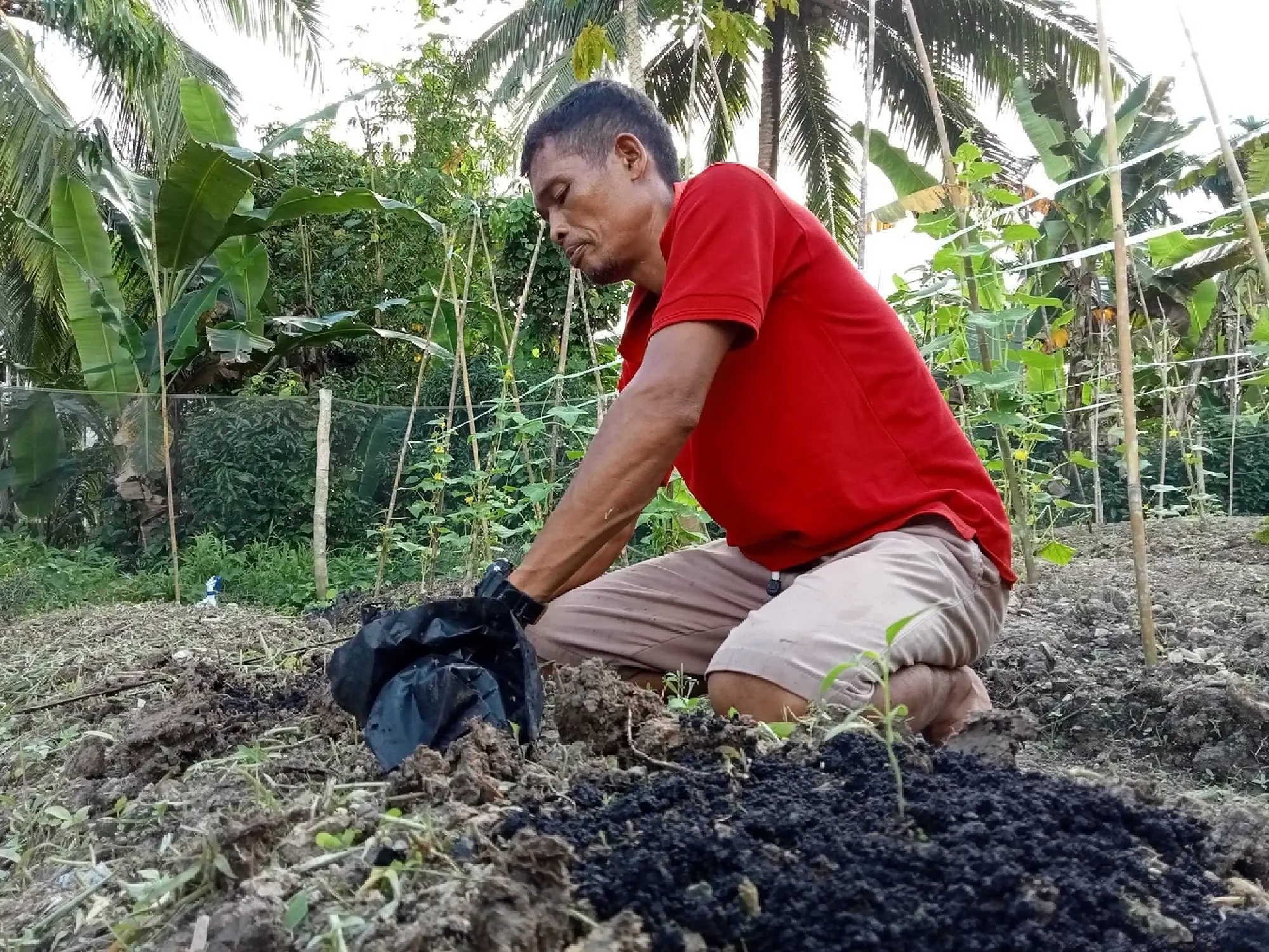 Aliansi Kolibri & Civil Society Unite for Climate Innovation in Indonesia