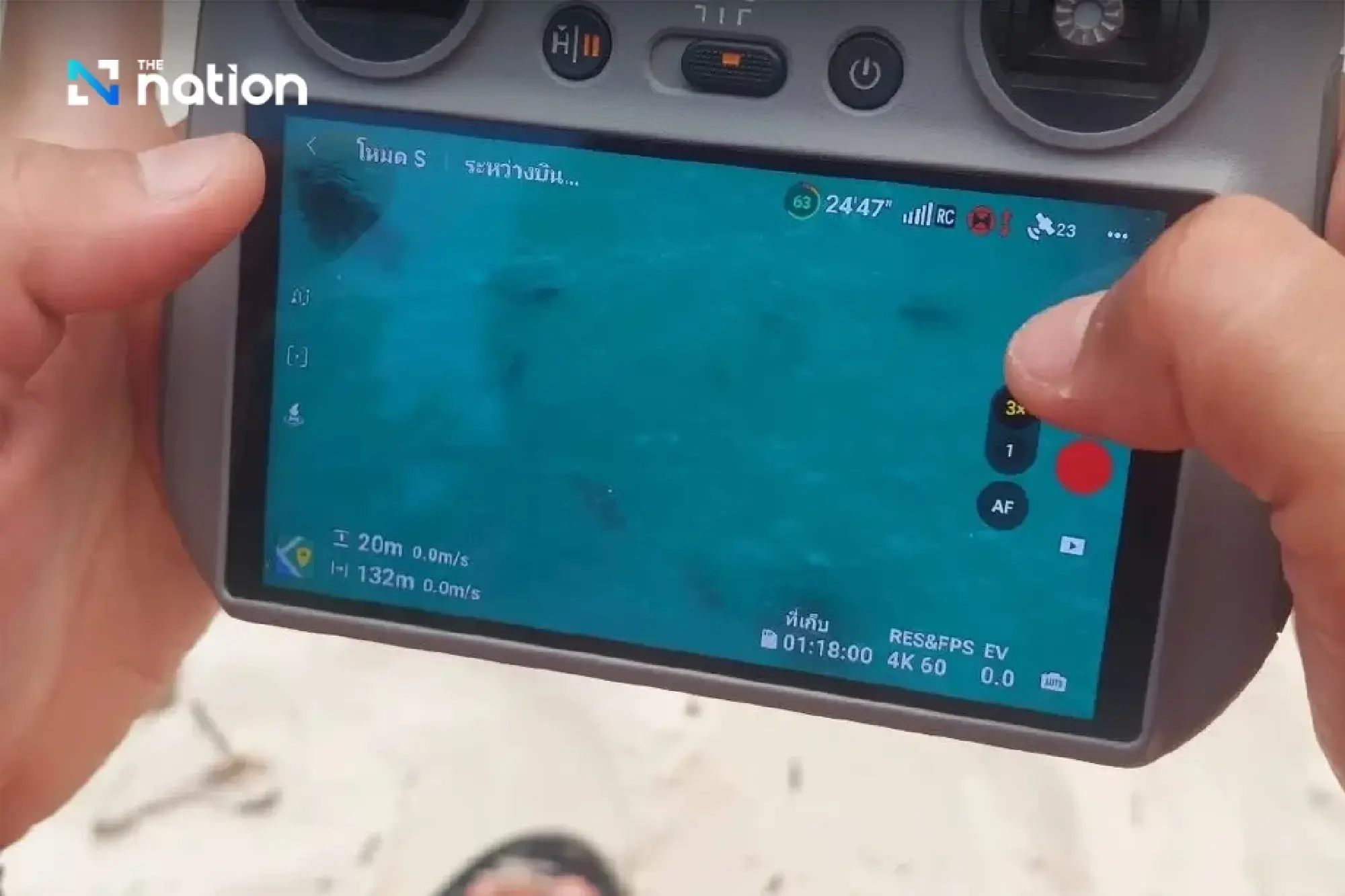 Record 158 blacktip reef sharks spotted in Maya Bay