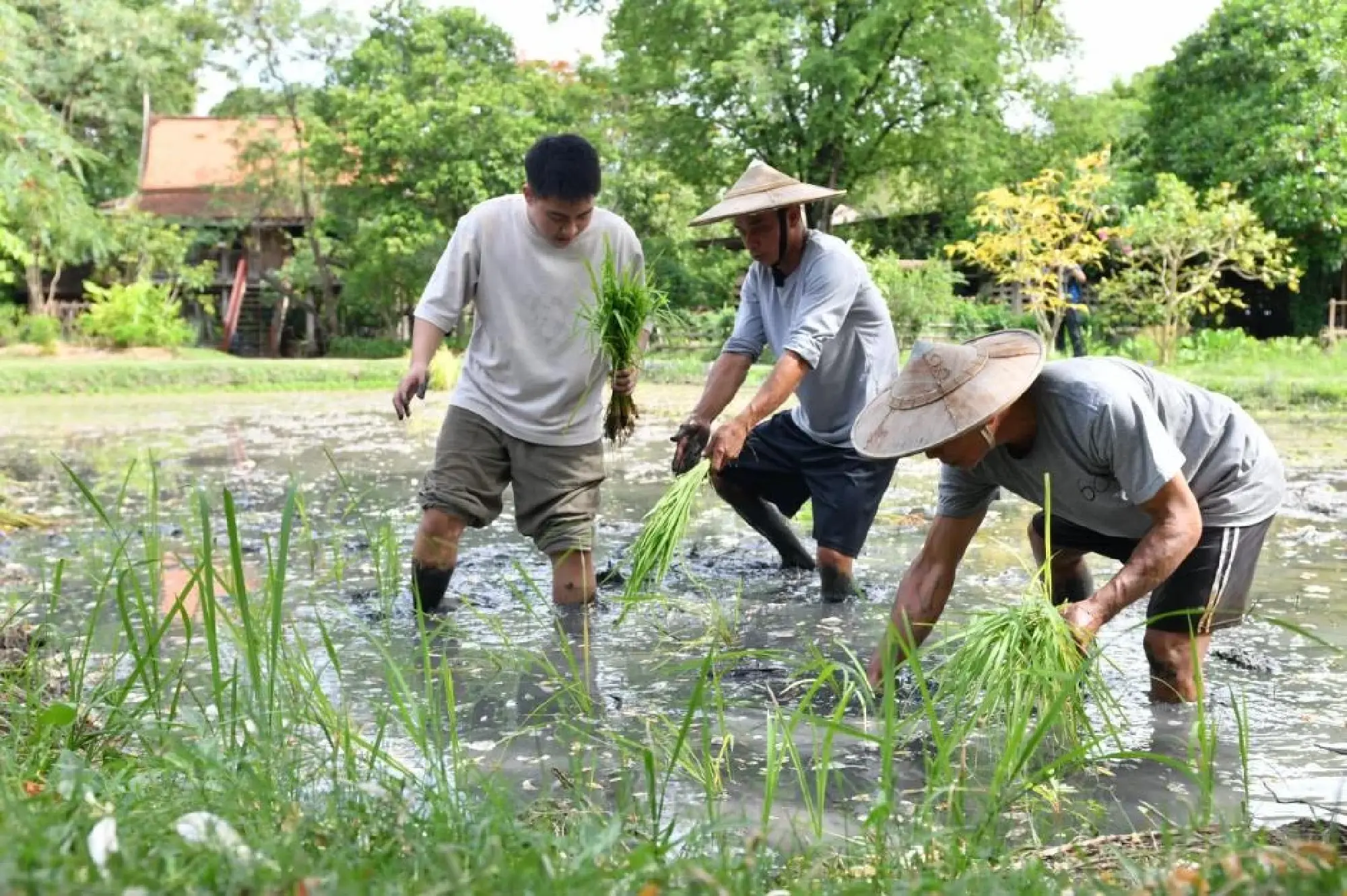 Thailand sets sights on building kingdom into wellness destination