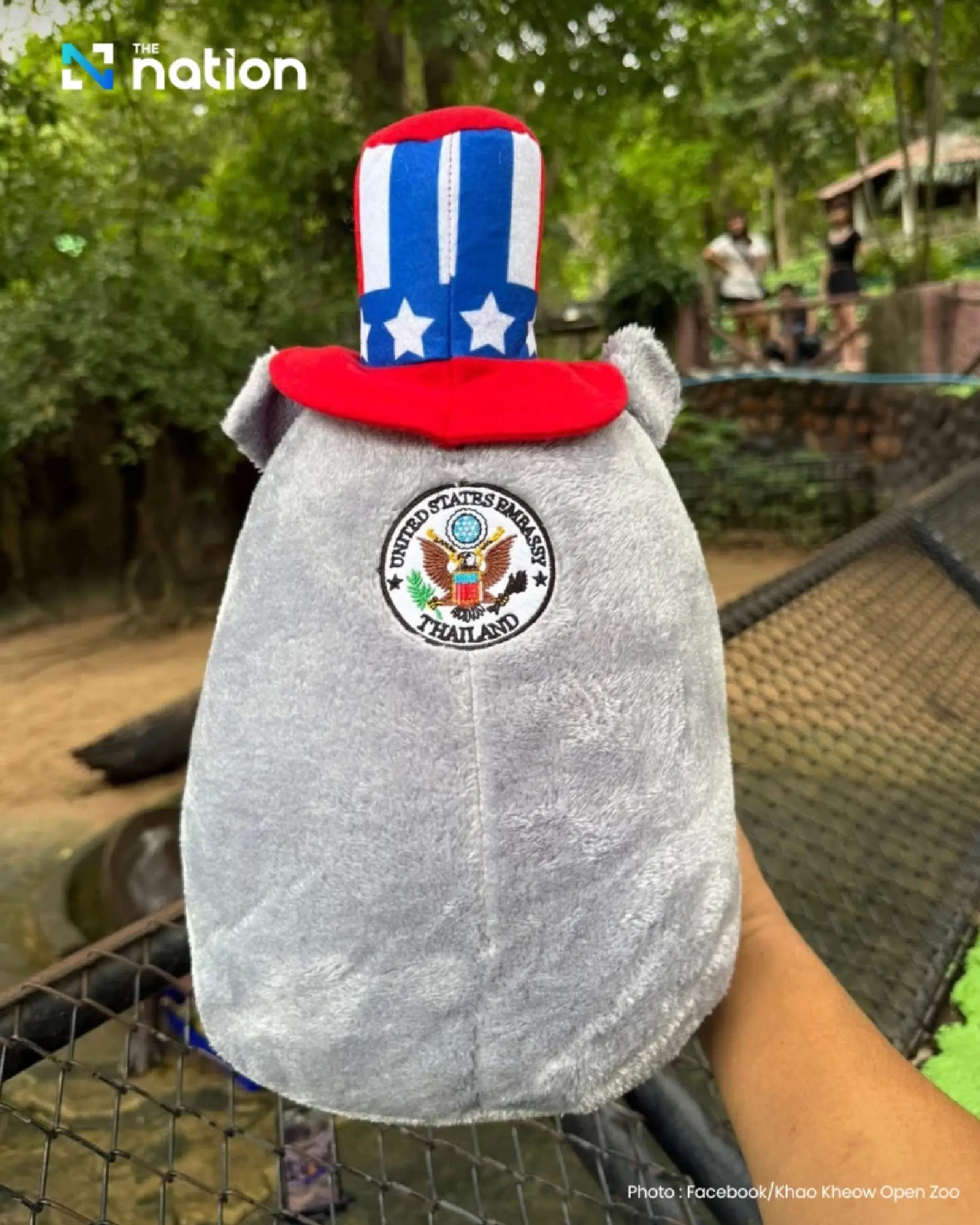 Moo Deng Turns One: US Embassy Sends Gift as Thai Zoo Plans Free Entry Bash