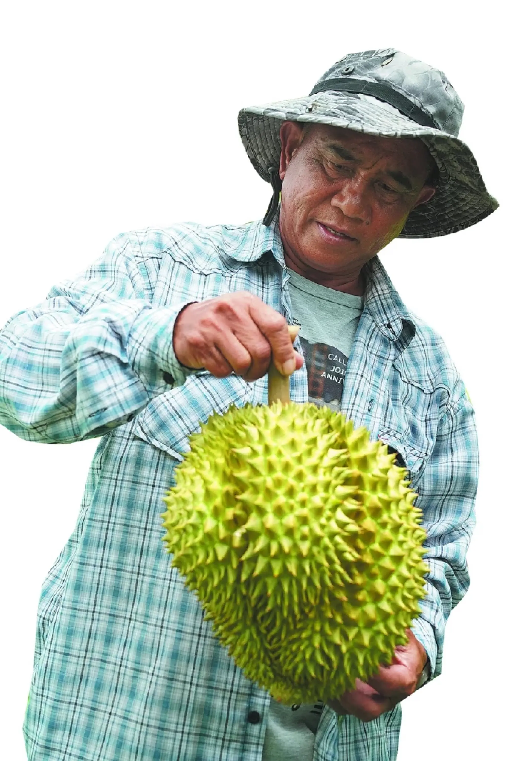 Thai durian farmers reap gains from smart solutions