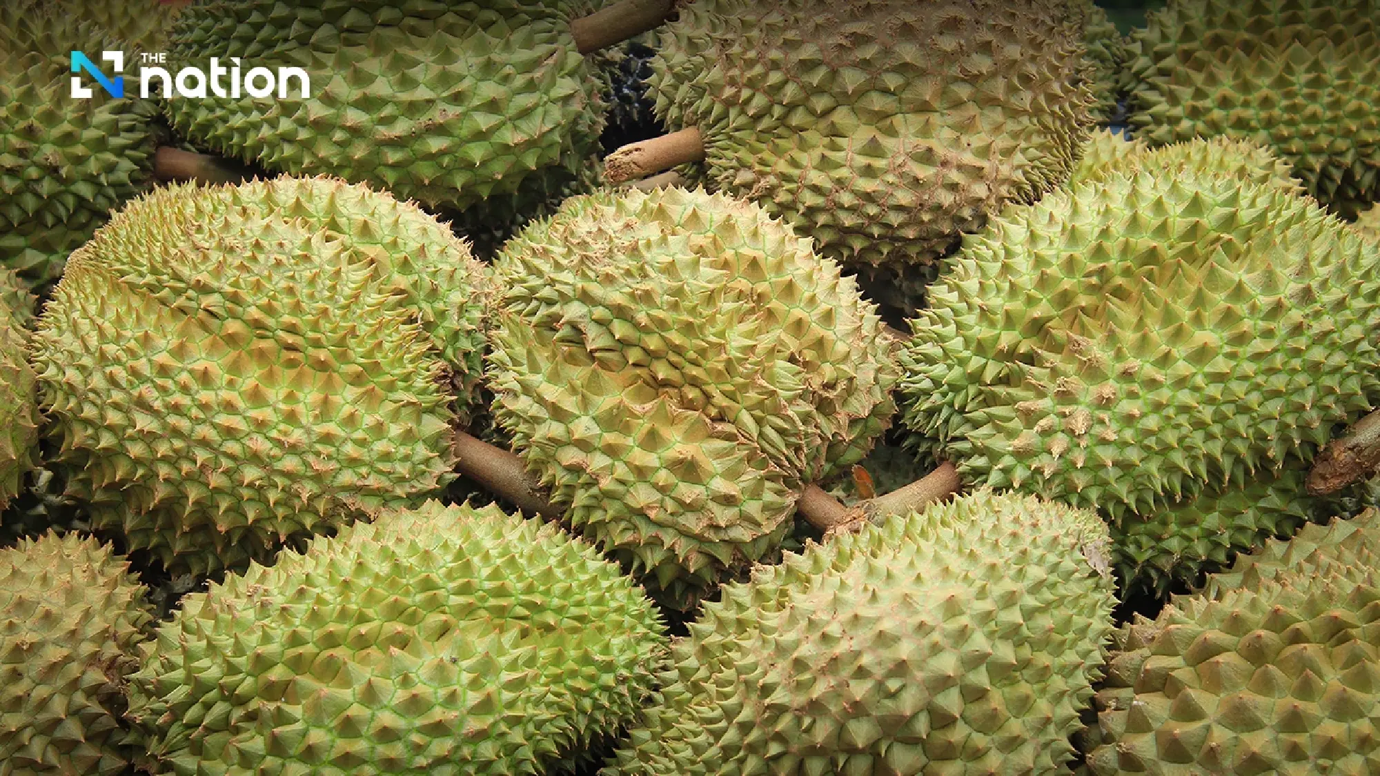 Thai Fruits Eye Premium Status in Hong Kong Market