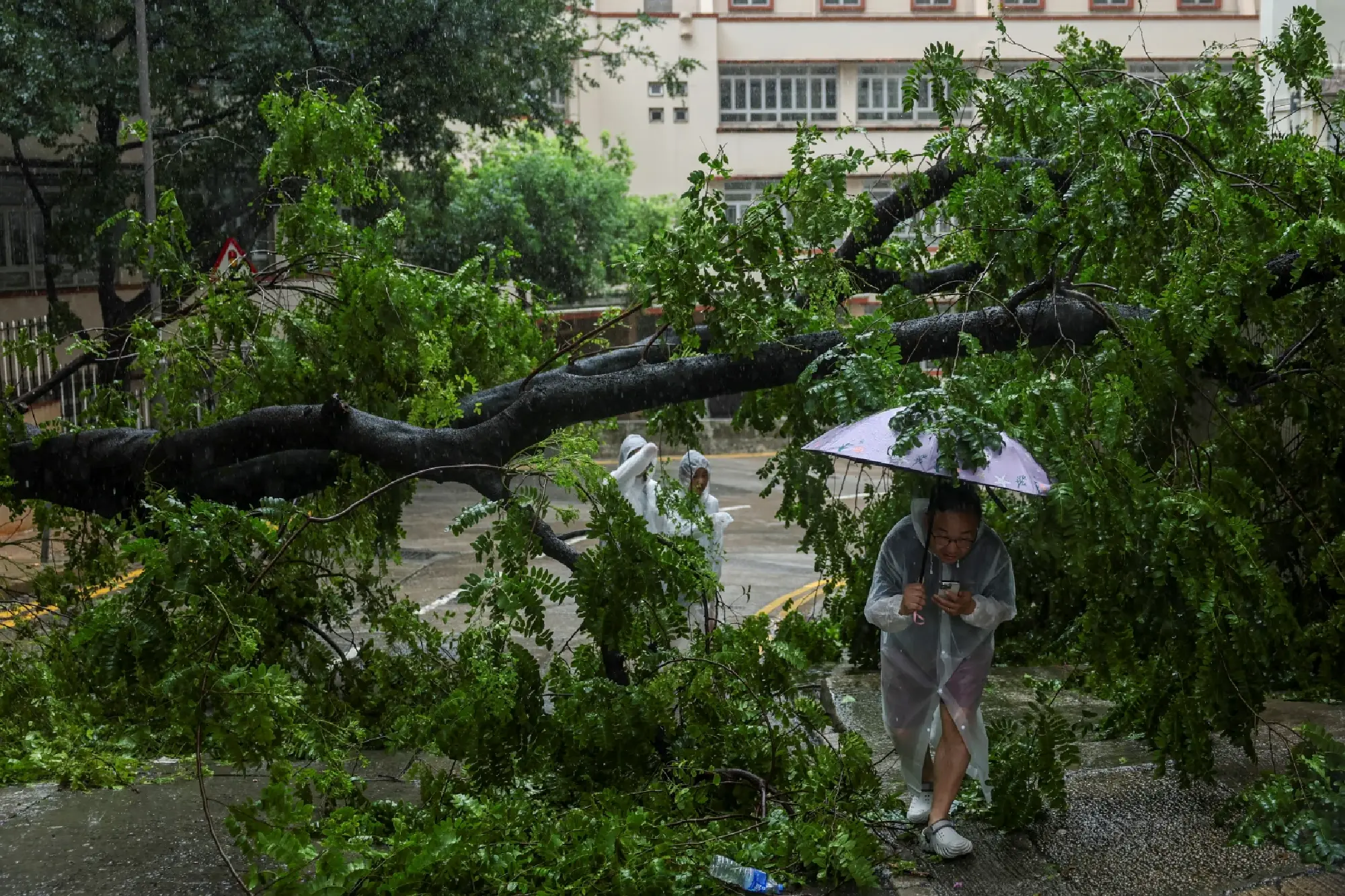 Typhoon rains batter Hong Kong before Wipha weakens to severe tropical storm in Guangdong