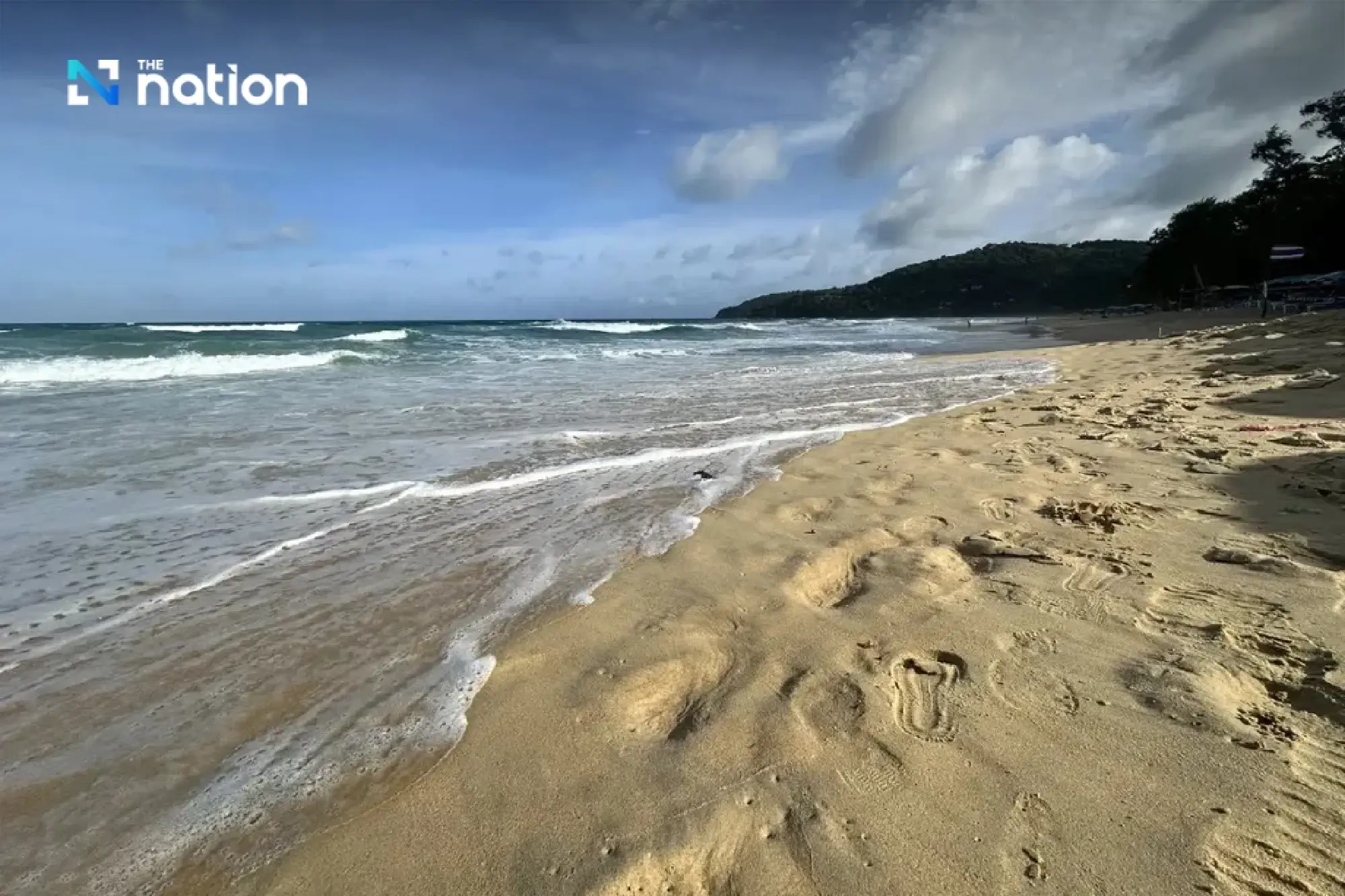 Deadly \'Blue Dragon\' Sea Slugs Wash Up on Phuket\'s Karon Beach