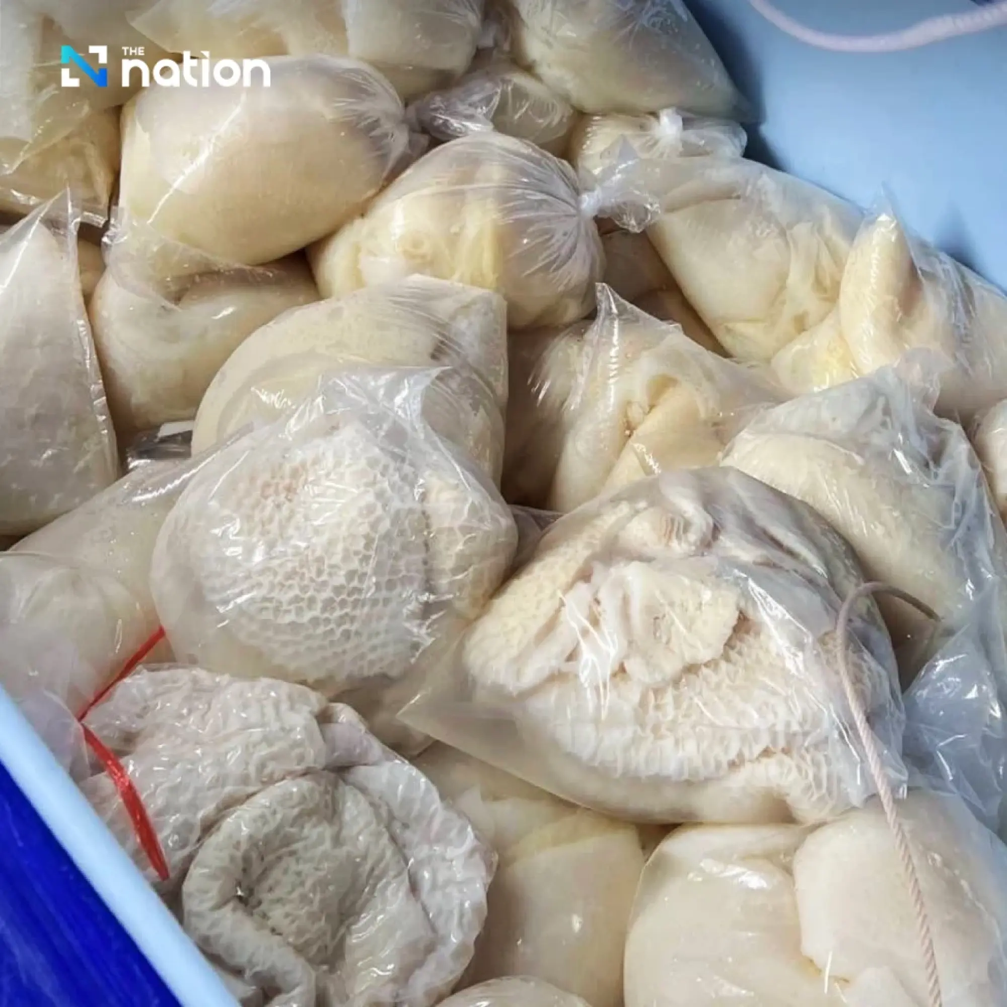 Police seize over 41 tonnes of smuggled beef and organs soaked in formalin