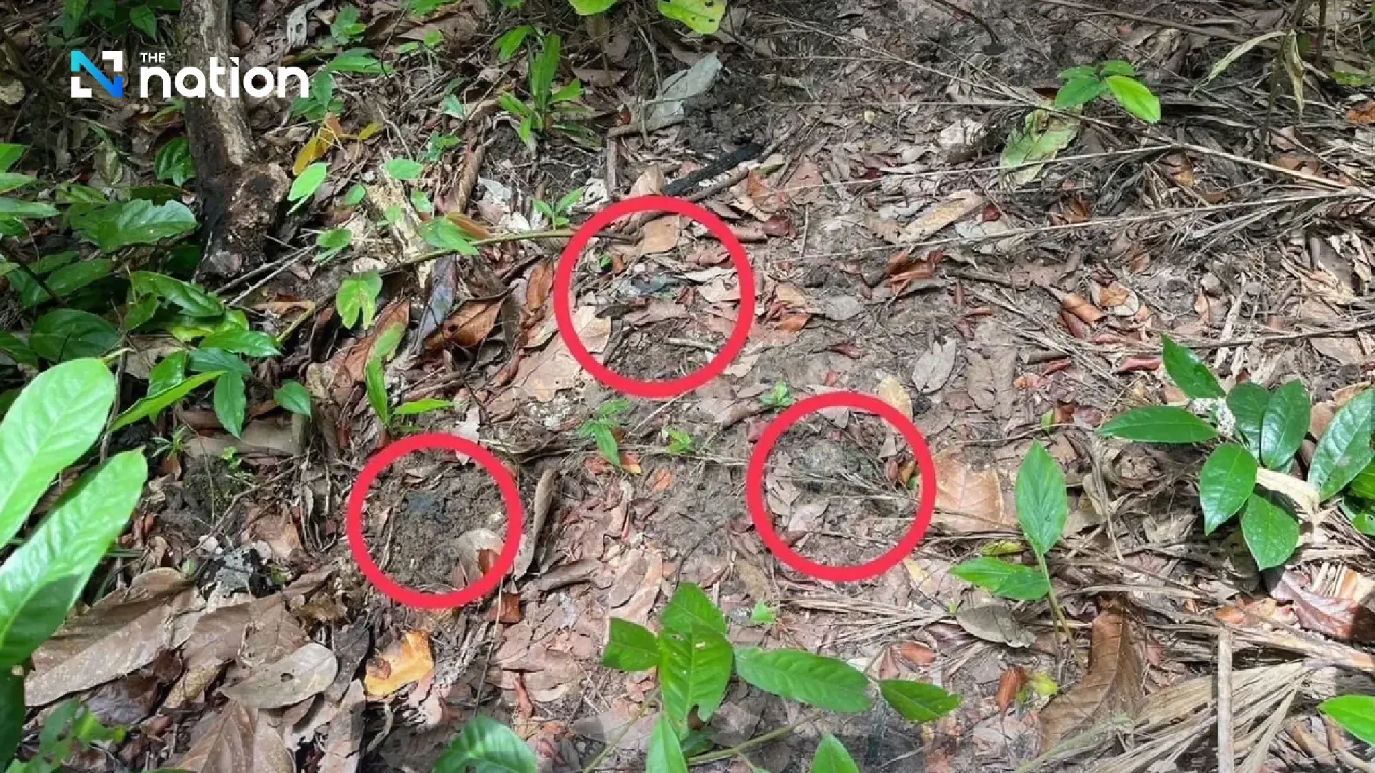 3 Thai troops injured by recently planted Russian landmine at Emerald Triangle