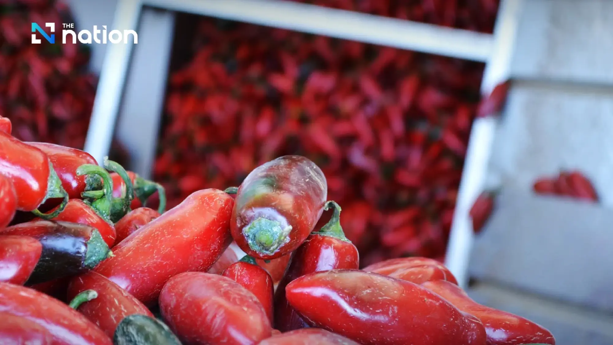 The origin of Sriracha sauce: From Thailand to the world