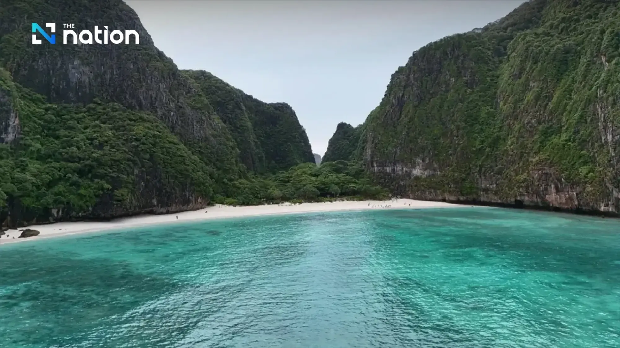 Record 158 blacktip reef sharks spotted in Maya Bay
