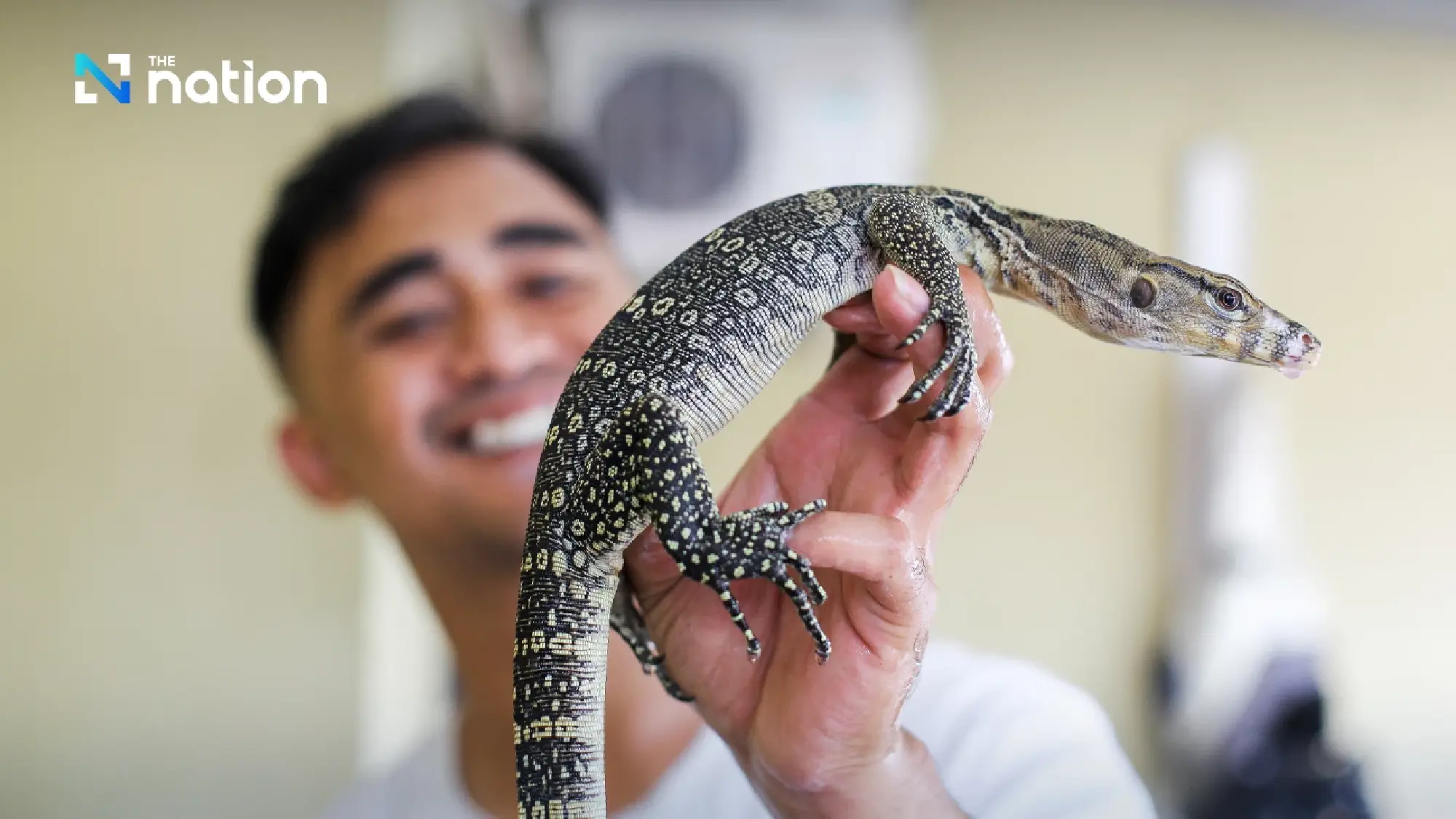 ‘Hia’ water monitors can be legally farmed for skins, says DNP