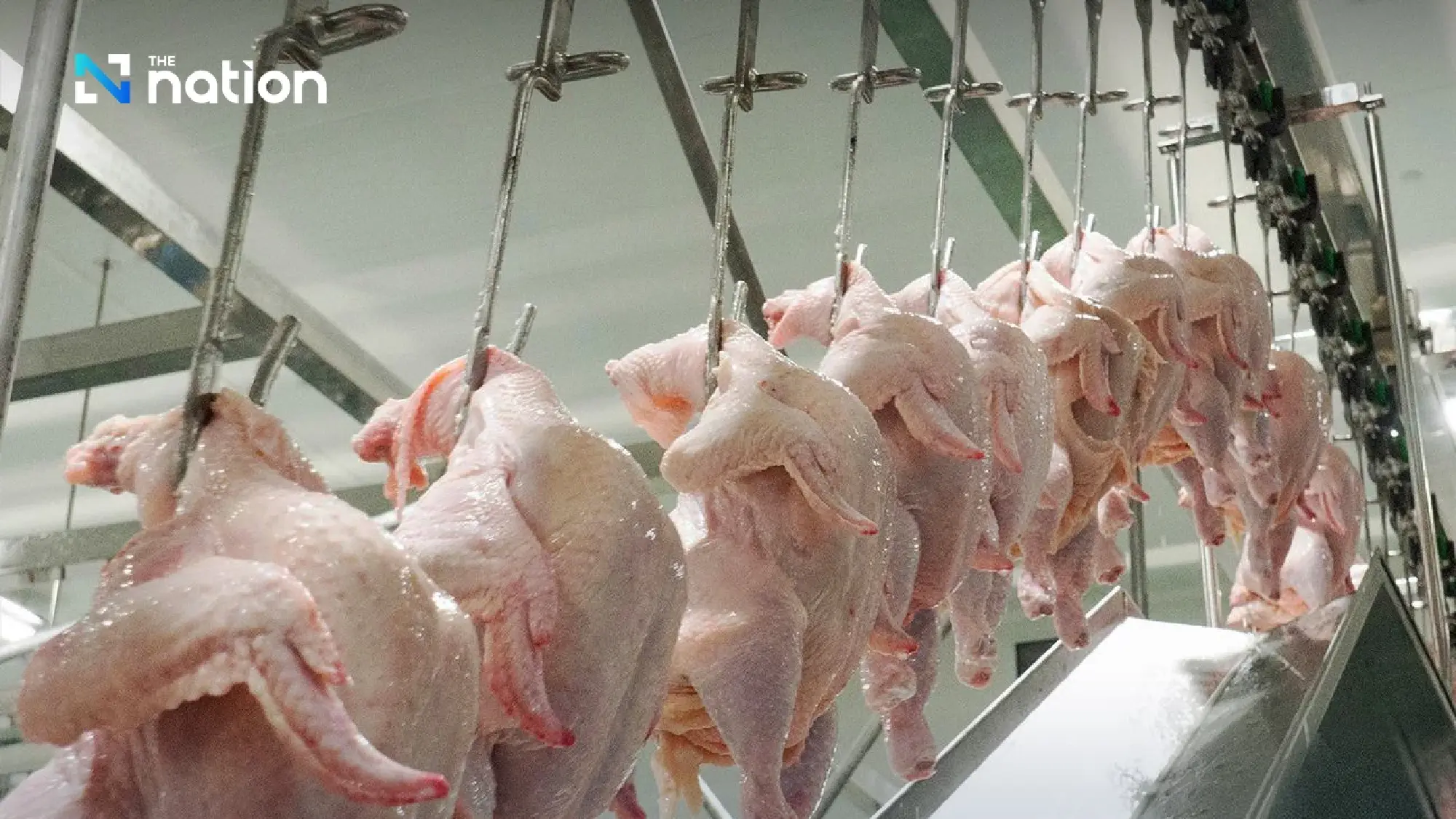 Thailand faces agricultural trade challenges as US demands 0% tariffs on pork, chicken, and beef imports