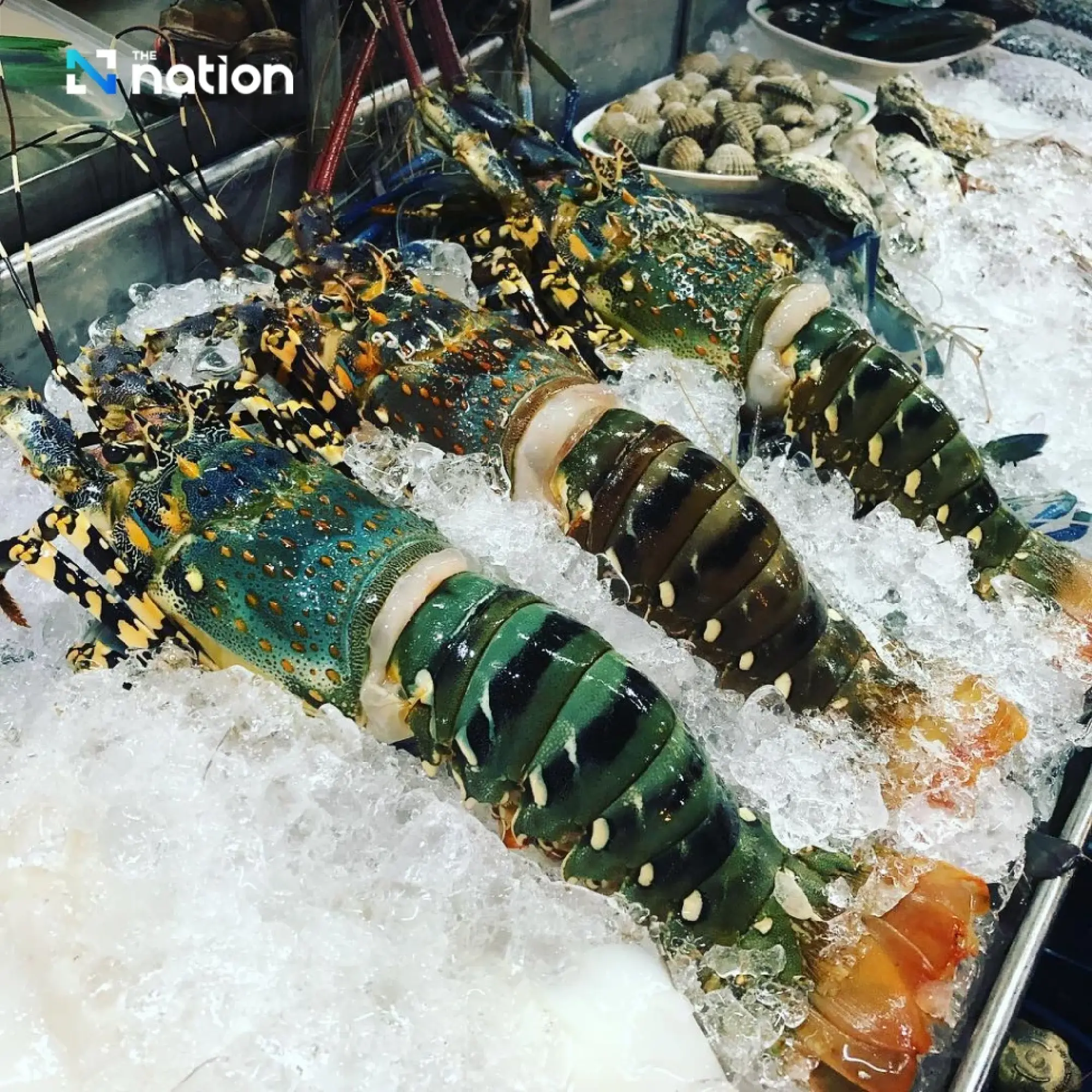 Research shows ‘higher food prices’ improve taste perception