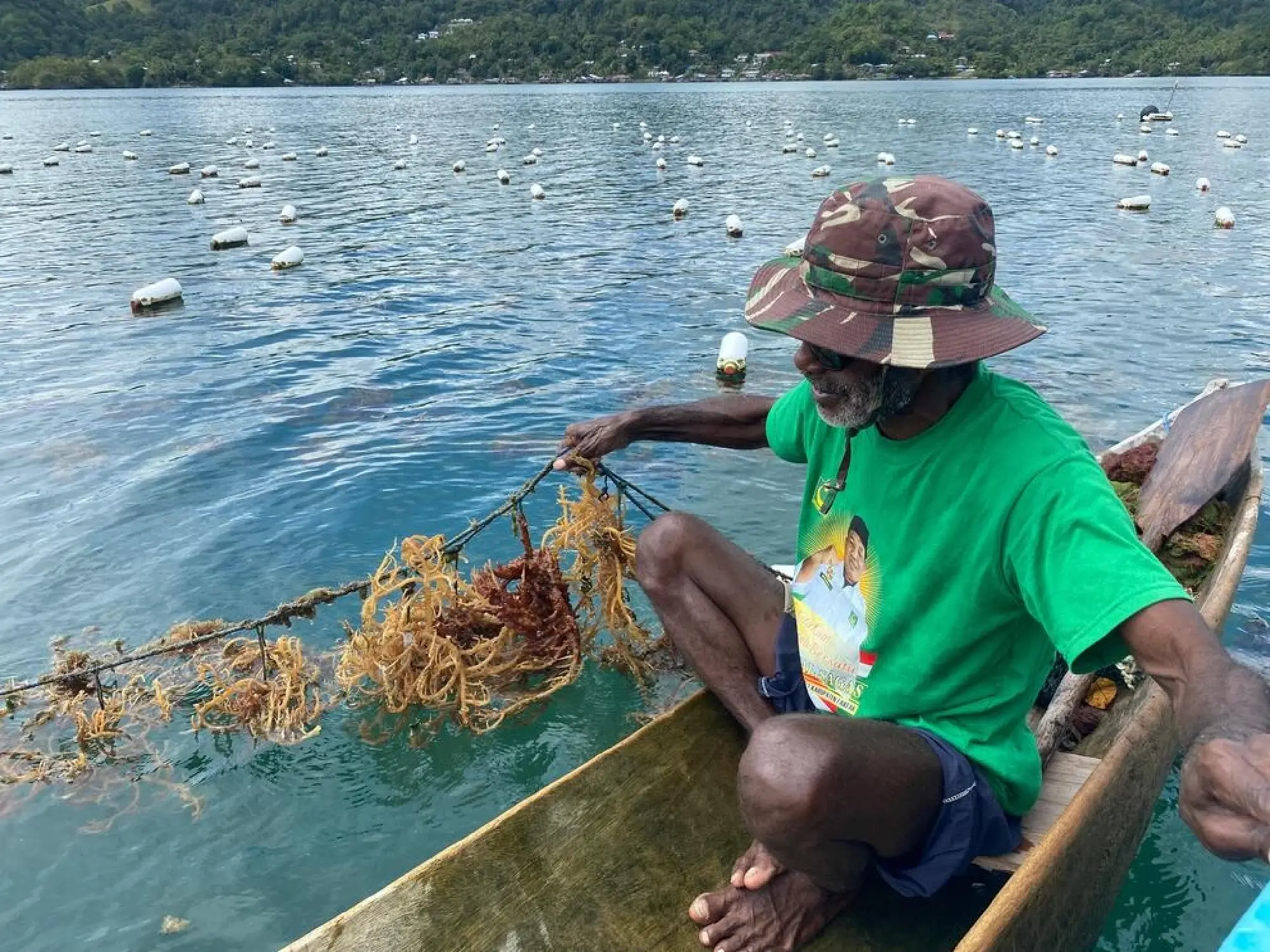 Revitalizing seaweed cultivation to boost the economy of Papua’s coastal communities