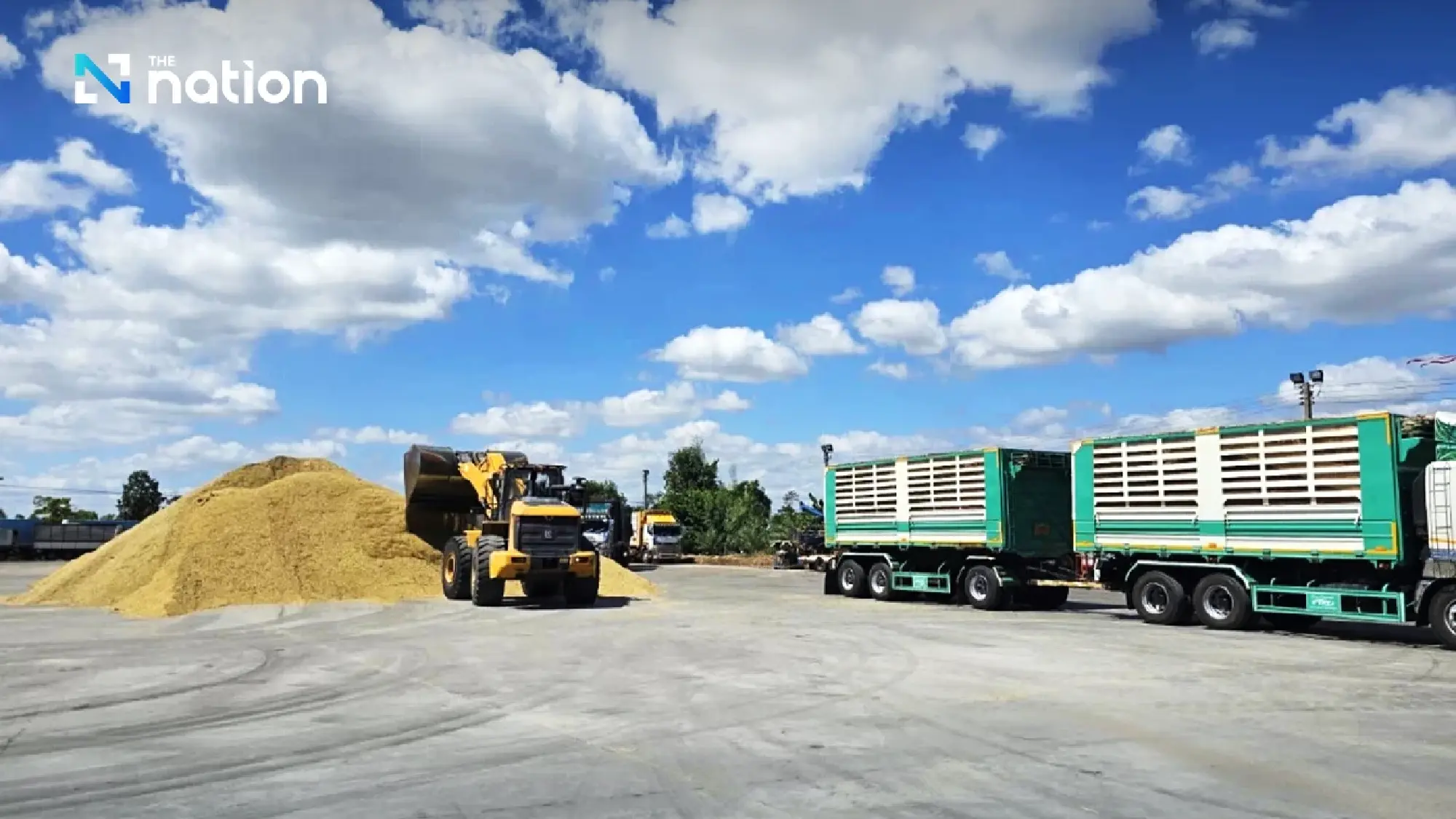 Thai rice exports hit by India stock release, rising competition