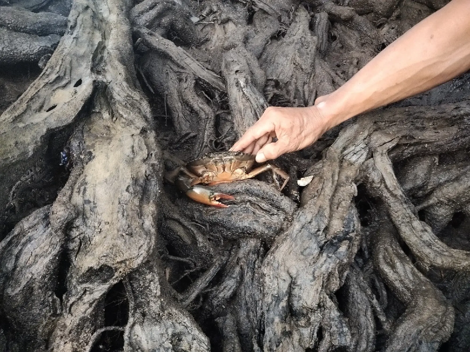 Building a sustainable marine ecosystem as the foundation of Papua's local economy