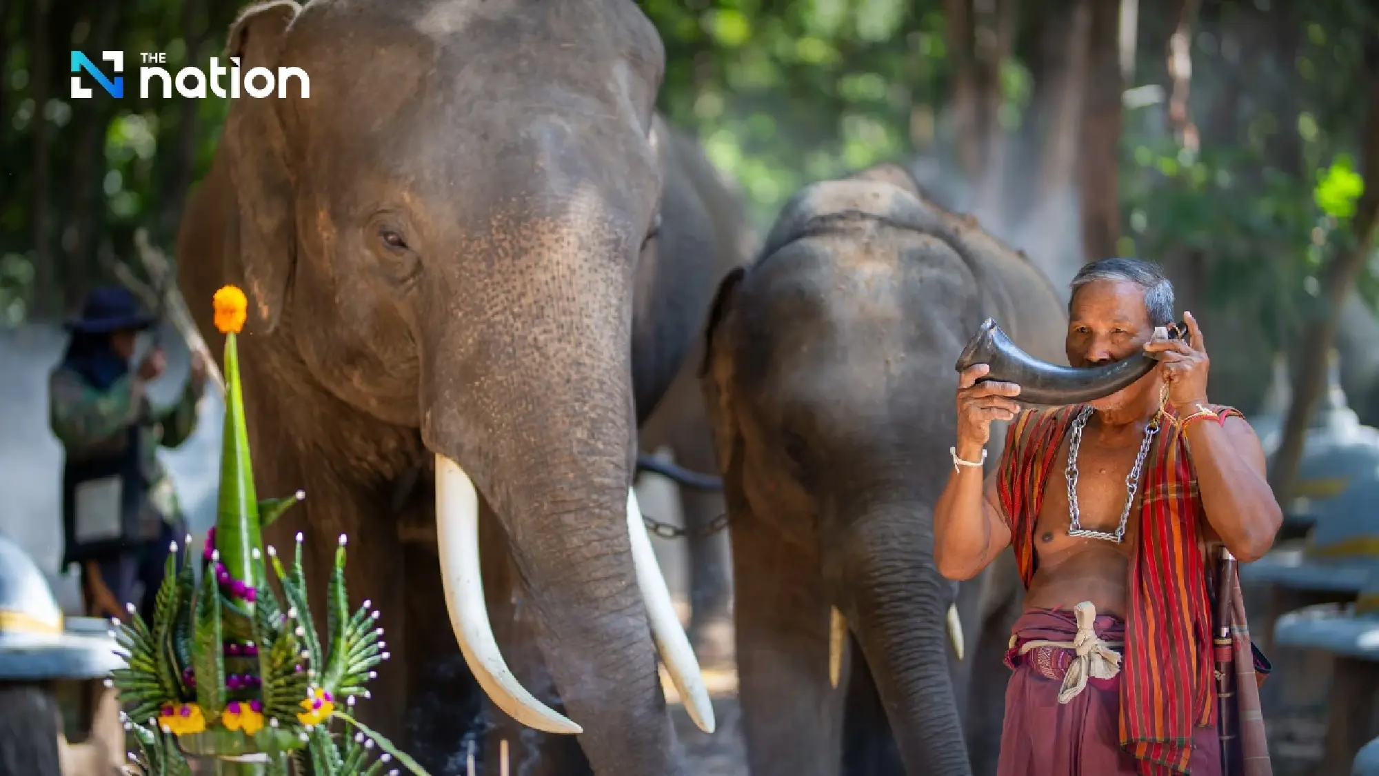 Animal sounds Thai vs. English