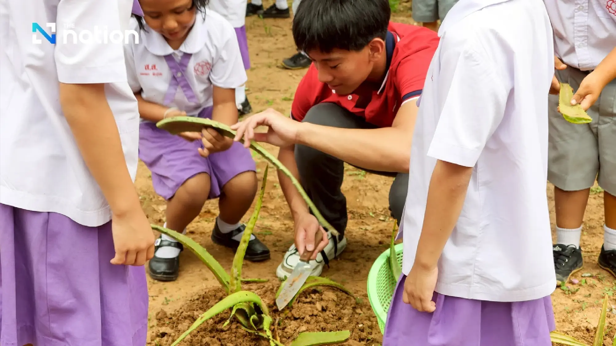 The Teen Who Turned Eczema Into Enterprise: How a 17-Year-Old Built a Social Impact Skincare Brand