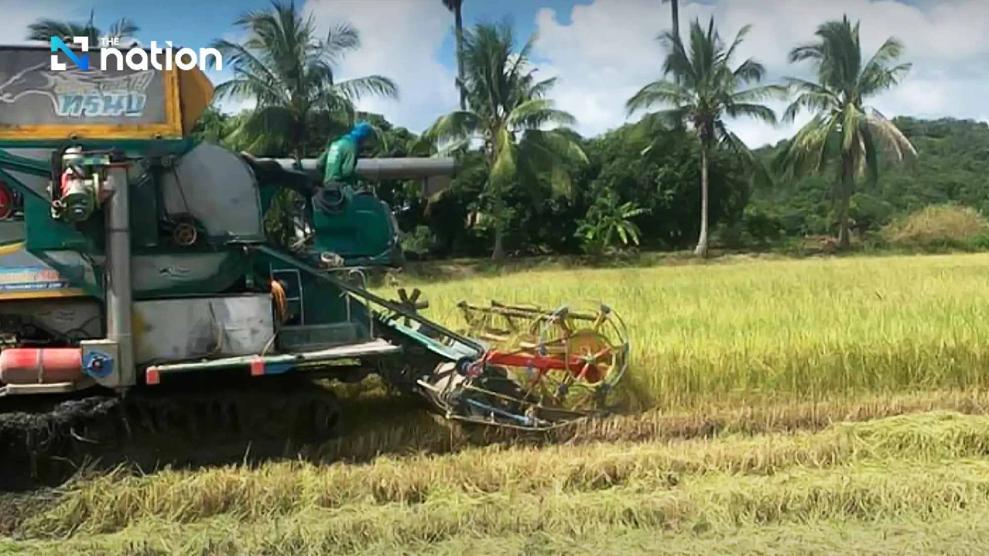 Thai rice exports hit by India stock release, rising competition