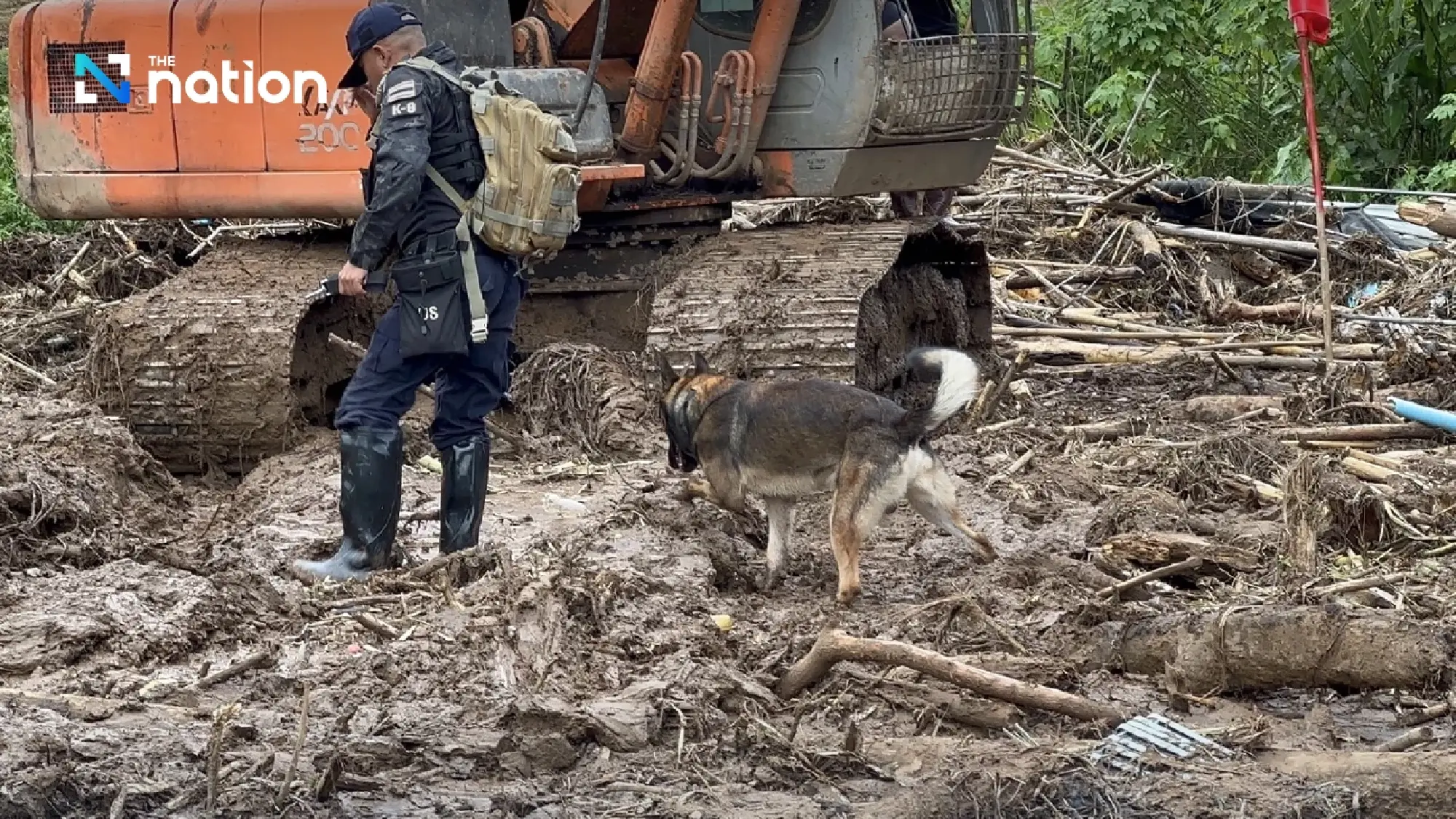 Elite K9 Search Dogs Deployed After Deadly Flash Floods